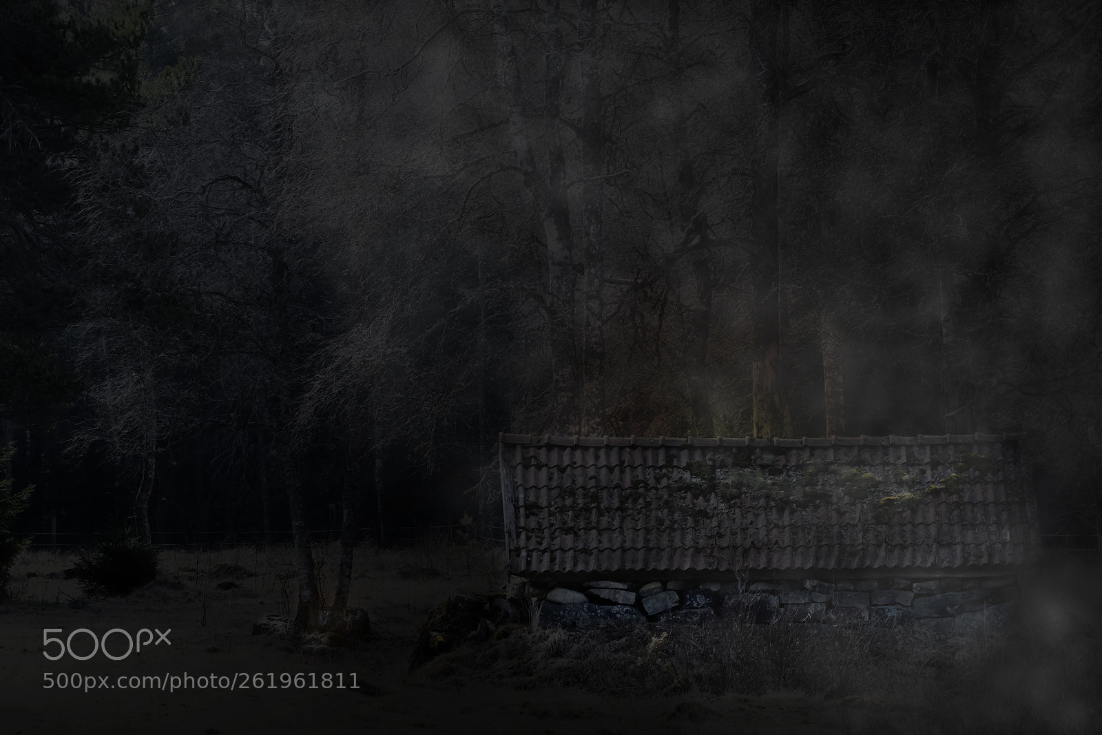 Nikon D500 sample photo. House of darkness photography
