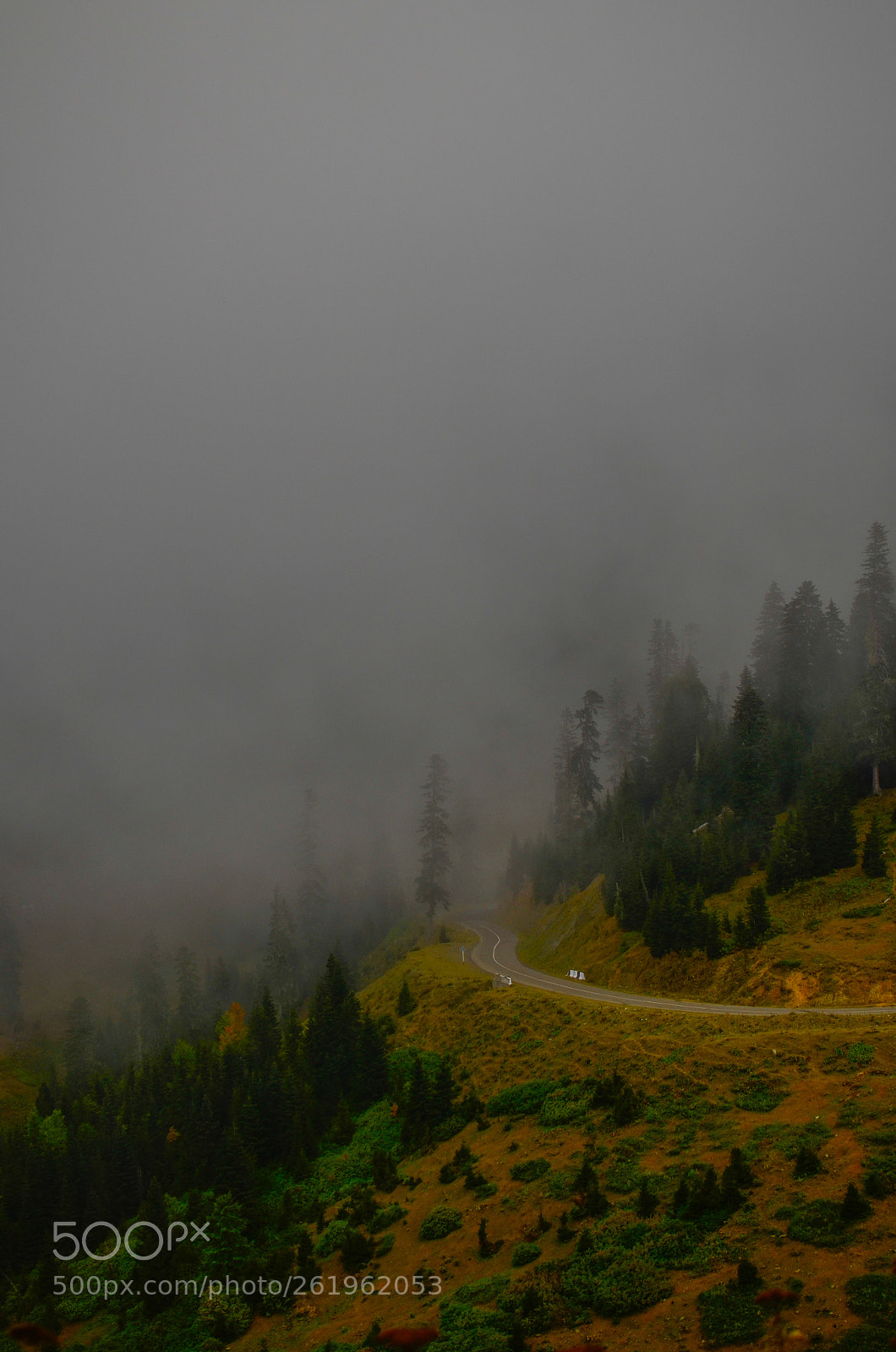 Nikon D5100 sample photo. Fog in the mountains photography