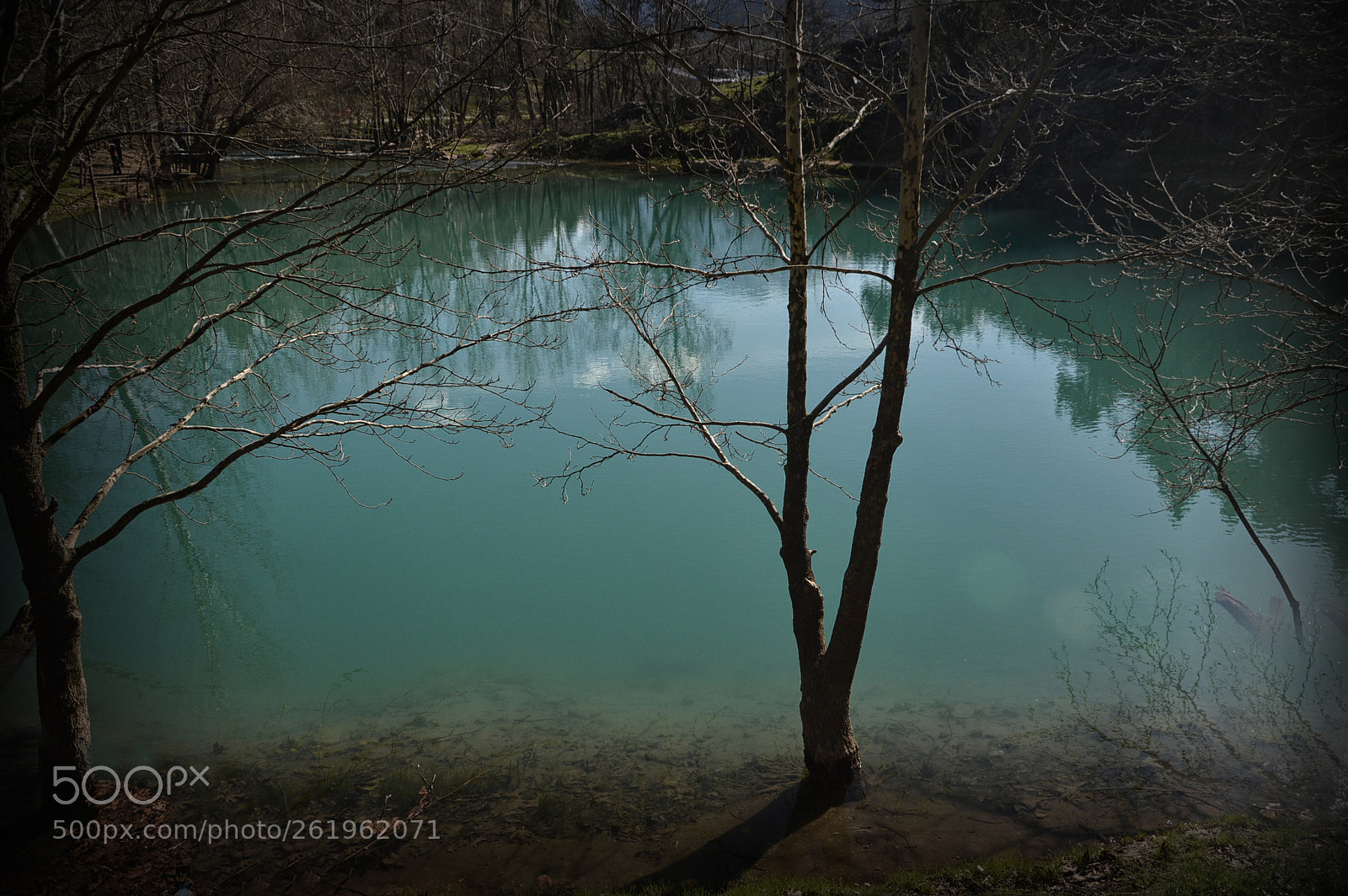 Nikon D3200 sample photo. Greeneyes photography