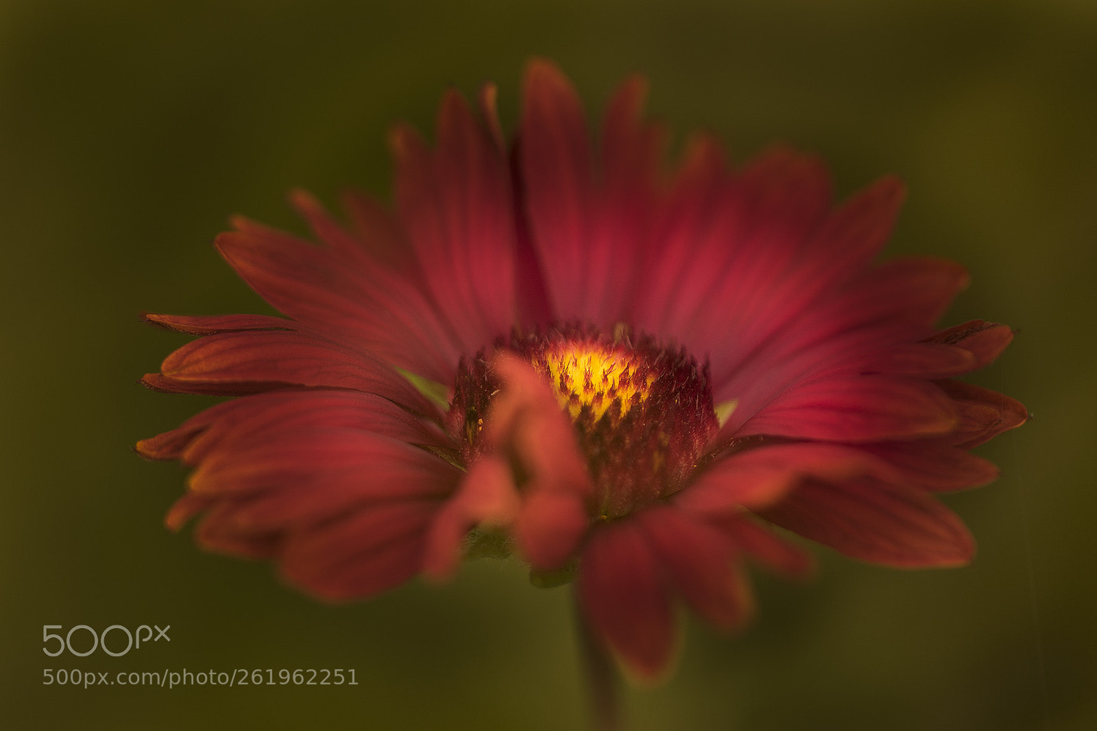 Canon EOS 7D Mark II sample photo. Fire photography
