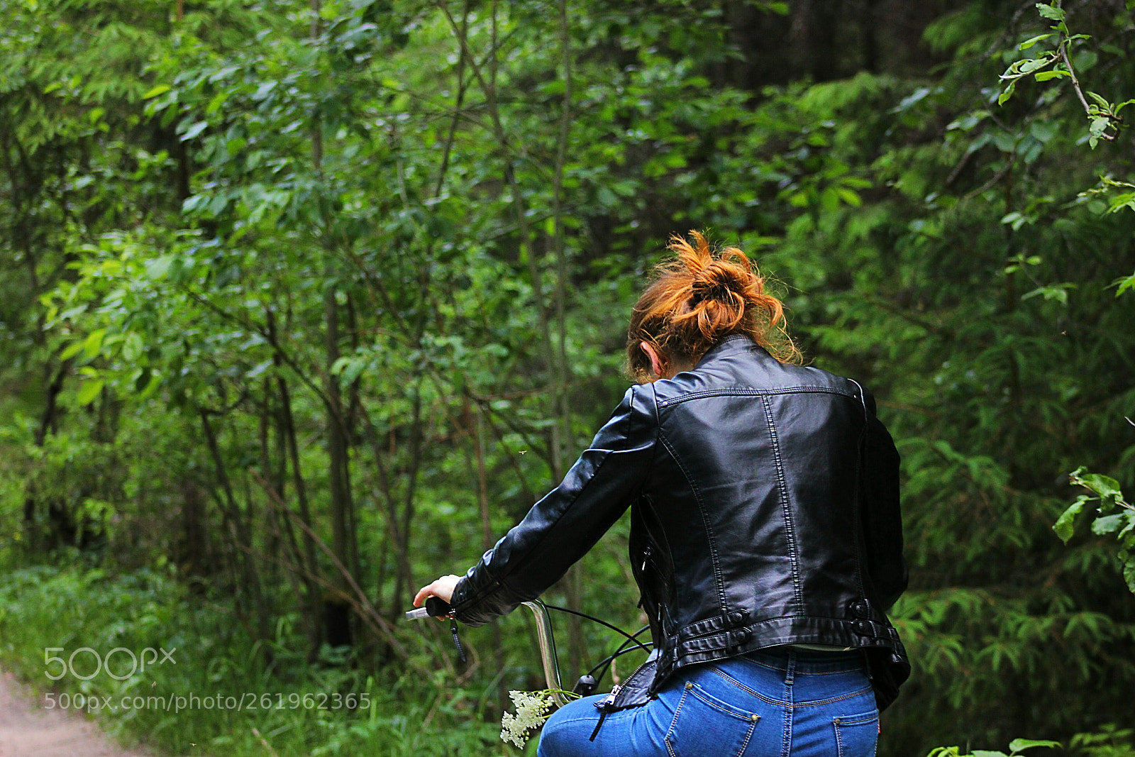 Canon EOS 600D (Rebel EOS T3i / EOS Kiss X5) sample photo. Forest photography