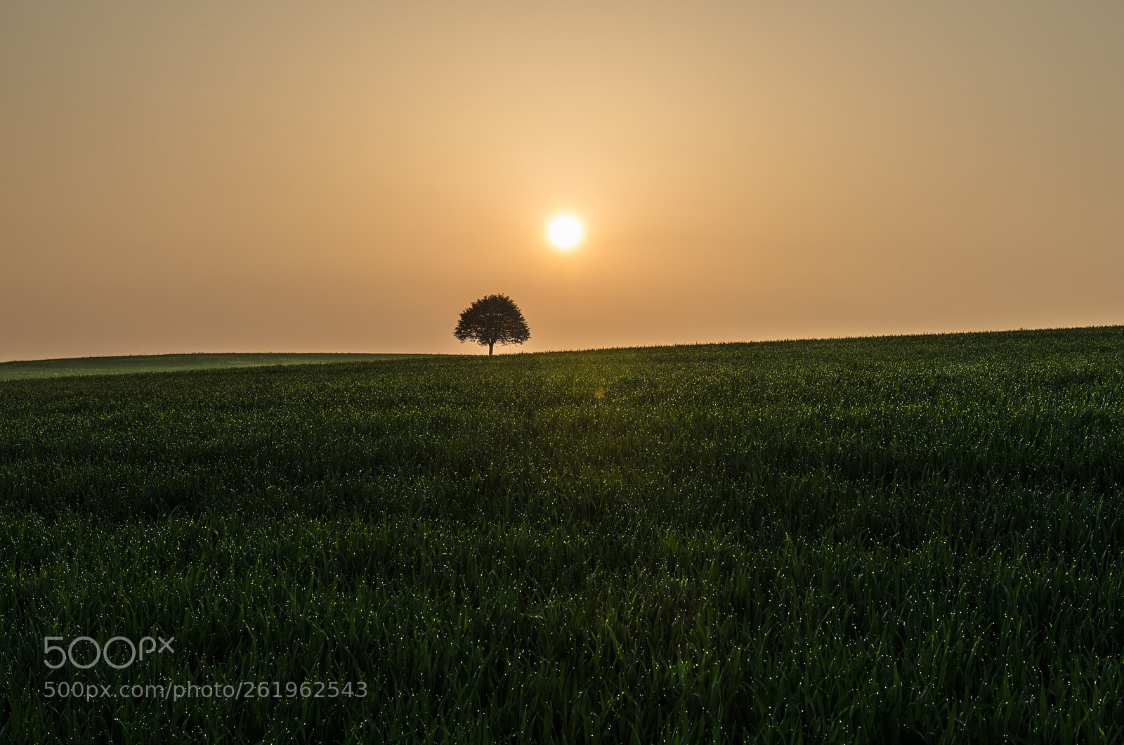 Nikon D600 sample photo. Sunrise photography