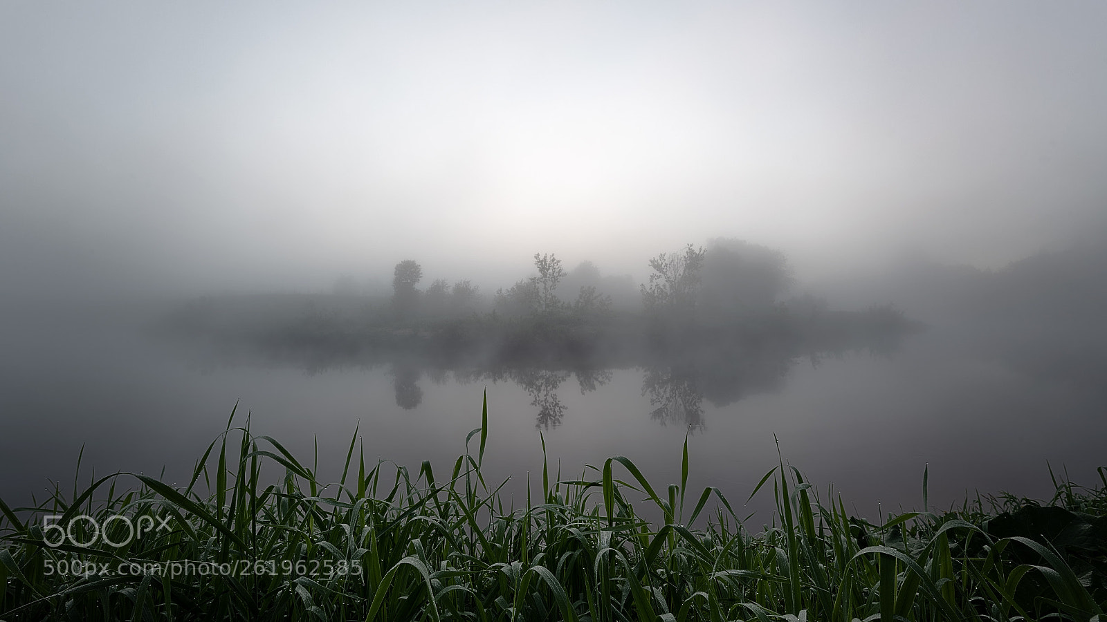 Nikon D750 sample photo. Foggy photography