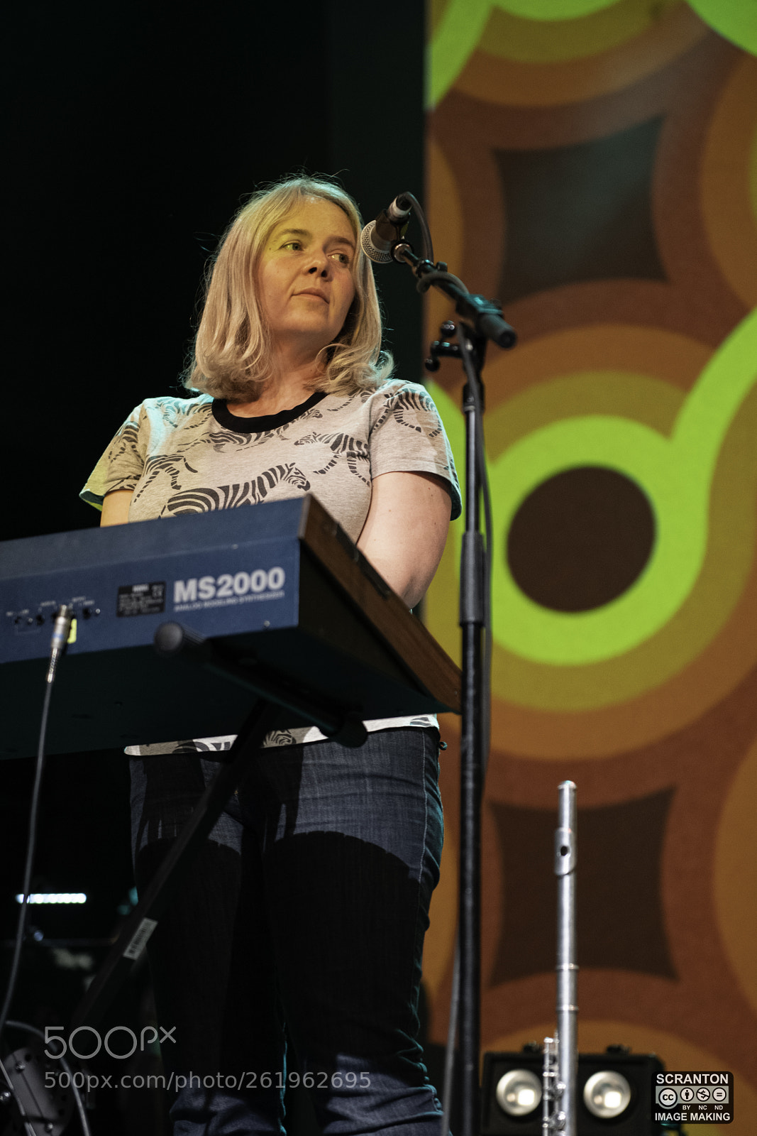 Nikon D850 sample photo. Belle sebastian new haven photography
