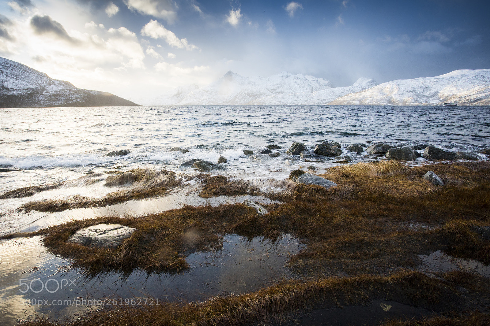Sony a9 sample photo. Windswept photography