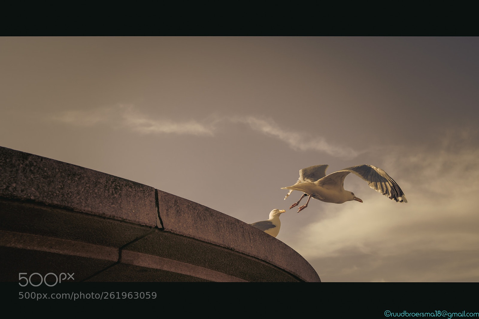 Sony a7 III sample photo. Seagulls at scheveningen pier photography