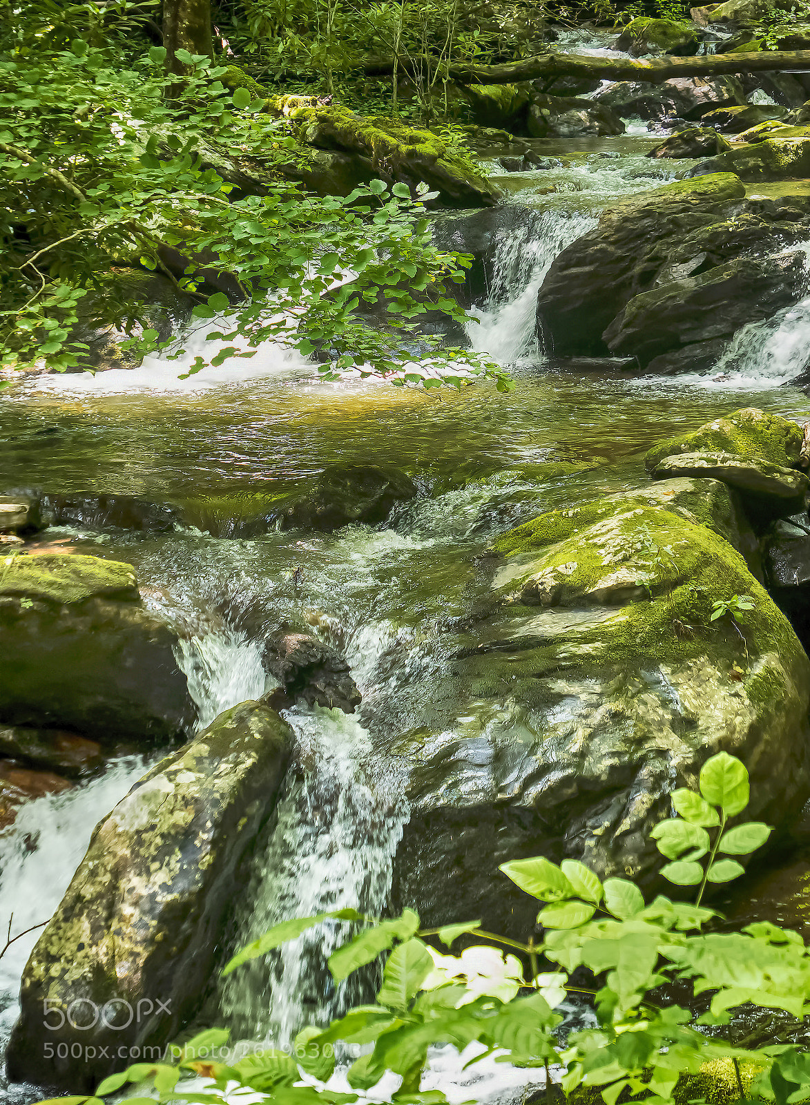 Panasonic Lumix DMC-LX10 (Lumix DMC-LX15) sample photo. Anna ruby falls () photography