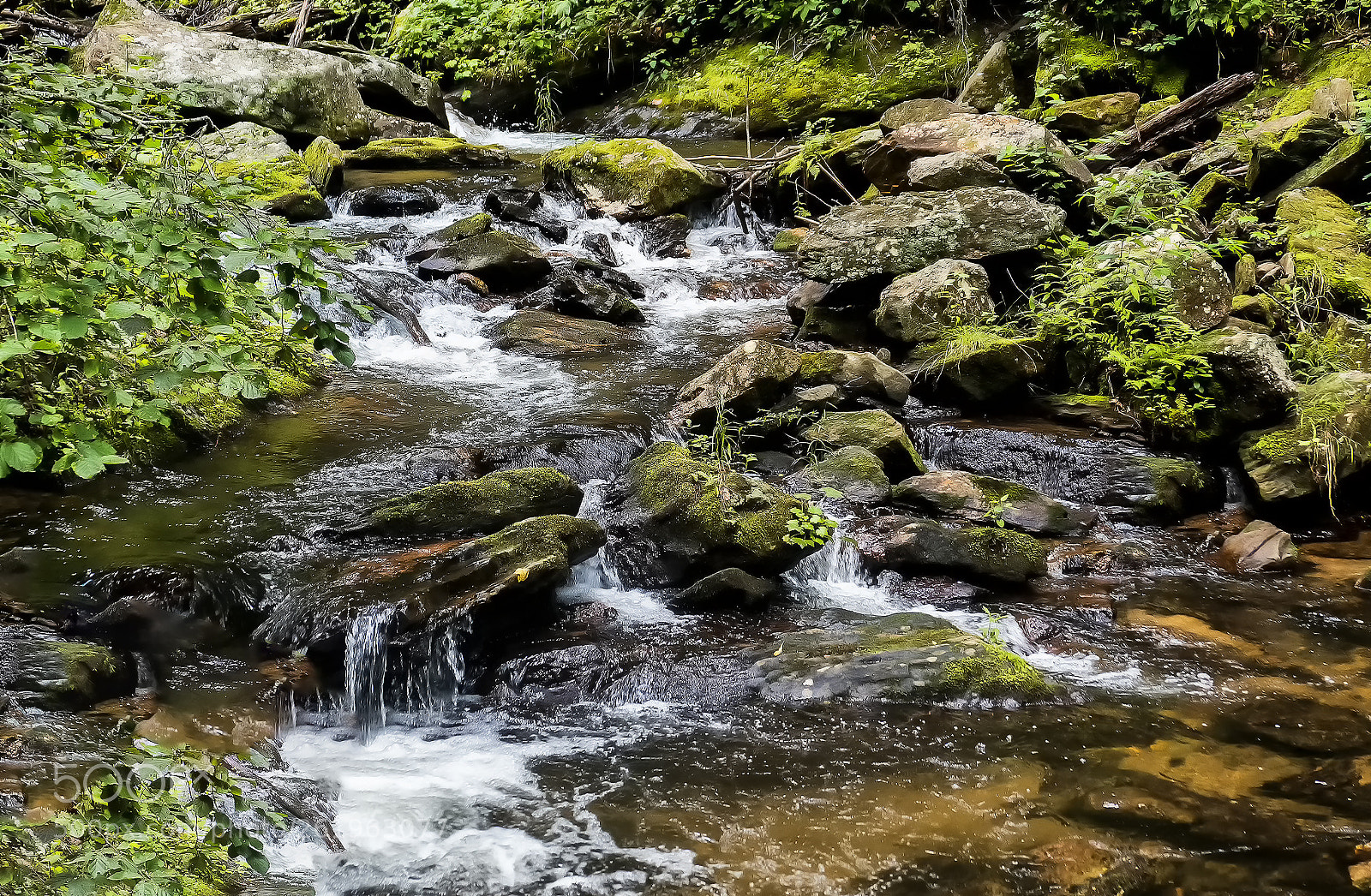 Panasonic Lumix DMC-LX10 (Lumix DMC-LX15) sample photo. Anna ruby falls () photography