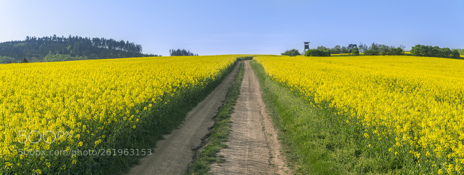 Nikon D750 sample photo. Country road through a photography