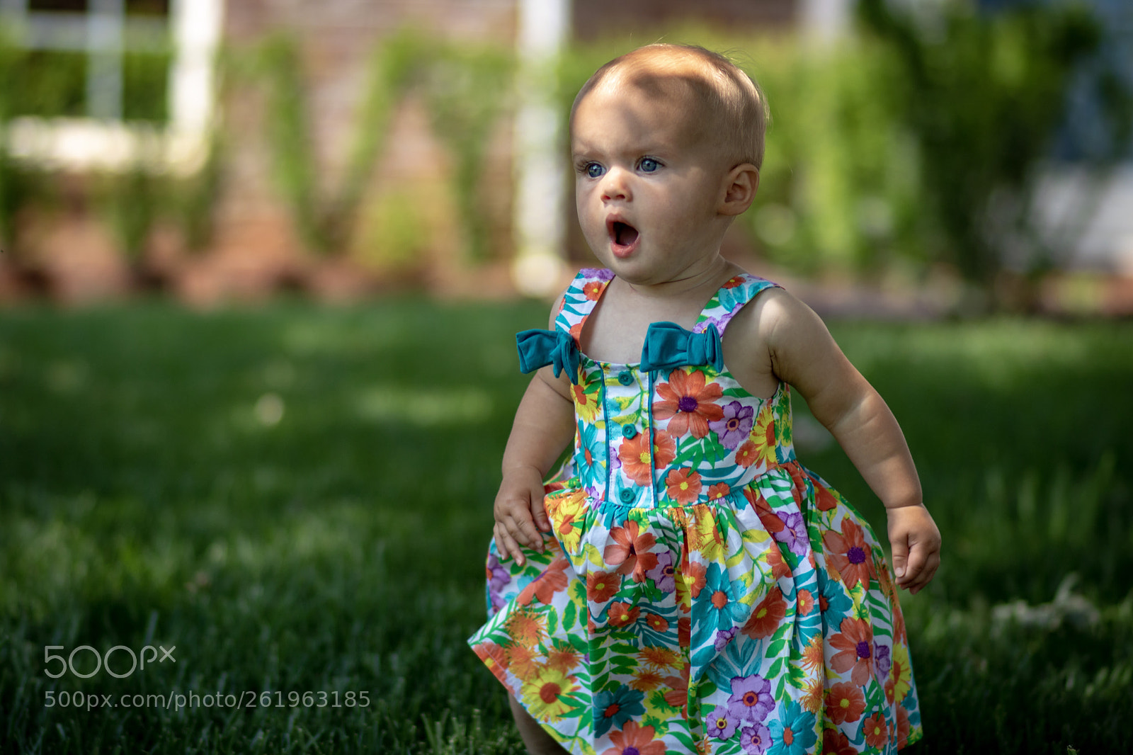 Canon EOS 750D (EOS Rebel T6i / EOS Kiss X8i) sample photo. Vsr and her new photography