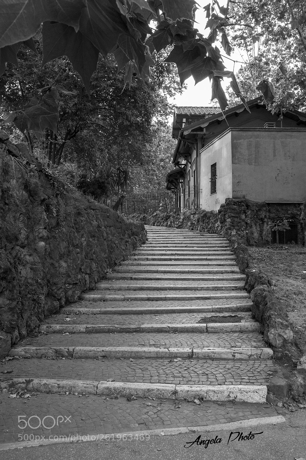 Nikon D7000 sample photo. Up&down photography