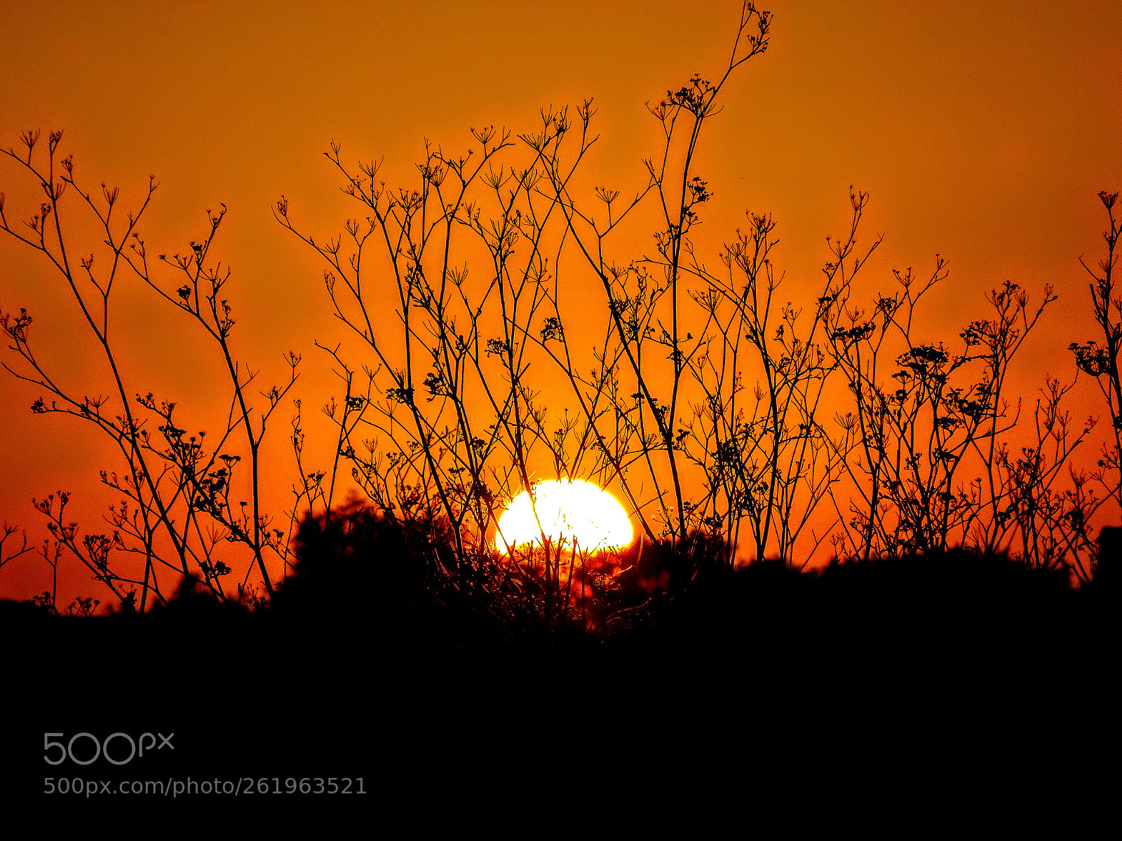 Sony Cyber-shot DSC-WX350 sample photo. At sunset photography