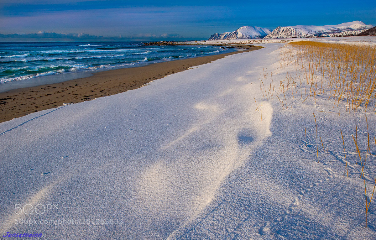 Nikon D610 sample photo. Sunset beach photography