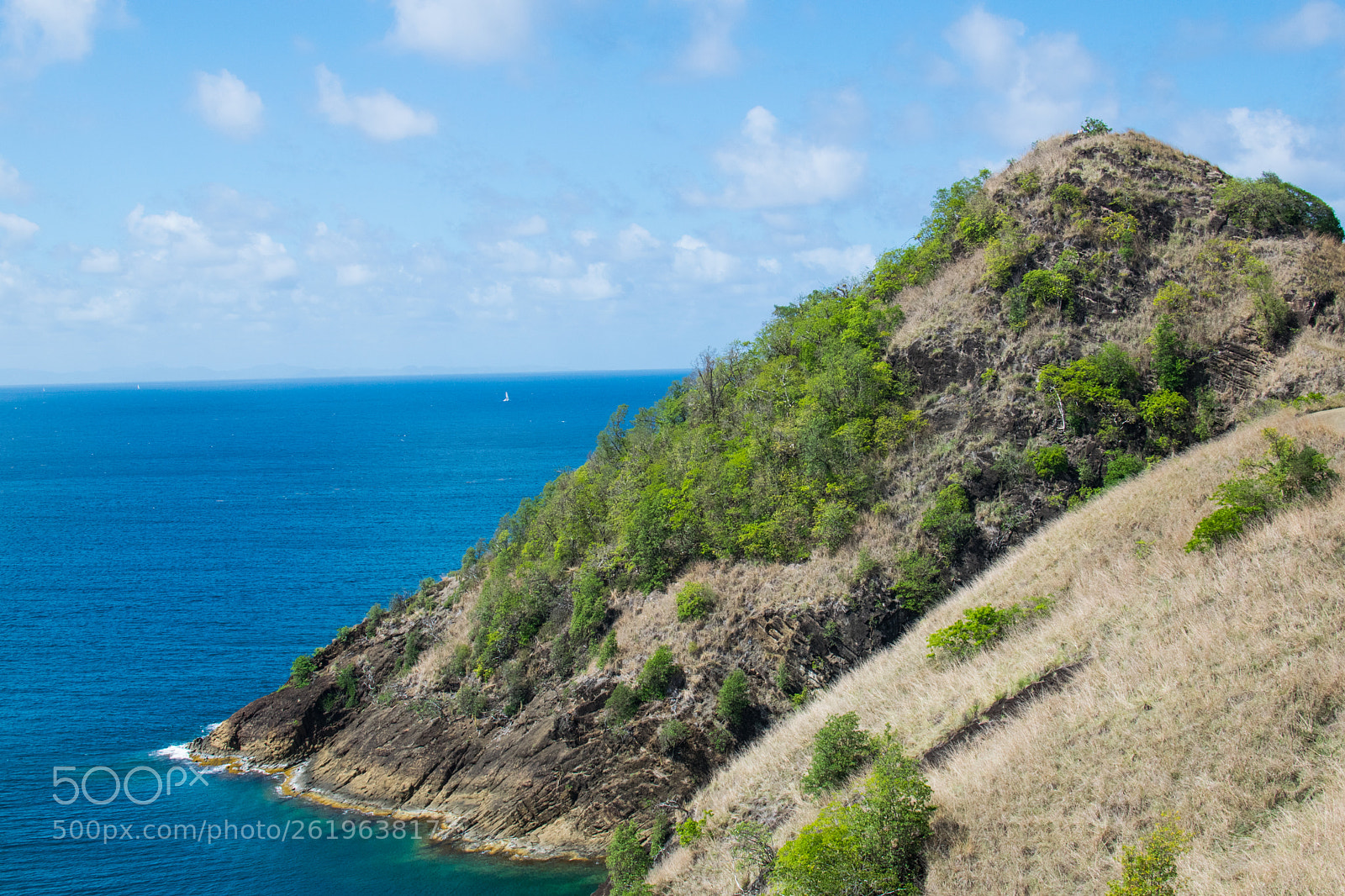 Nikon D3300 sample photo. Pidgeon island  photography