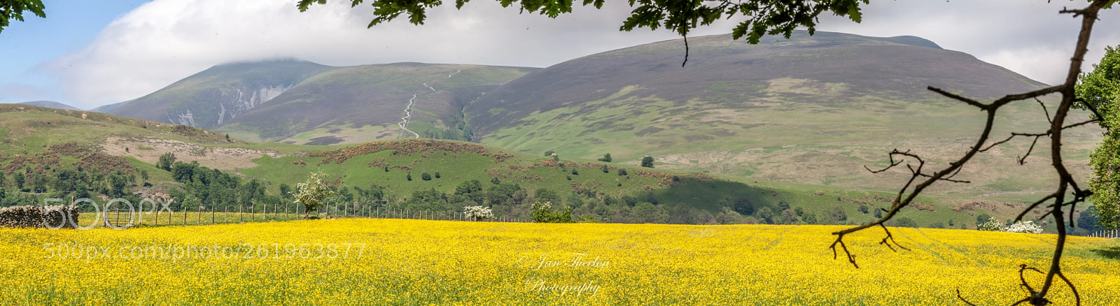 Canon EOS 50D sample photo. Lake district on it's photography