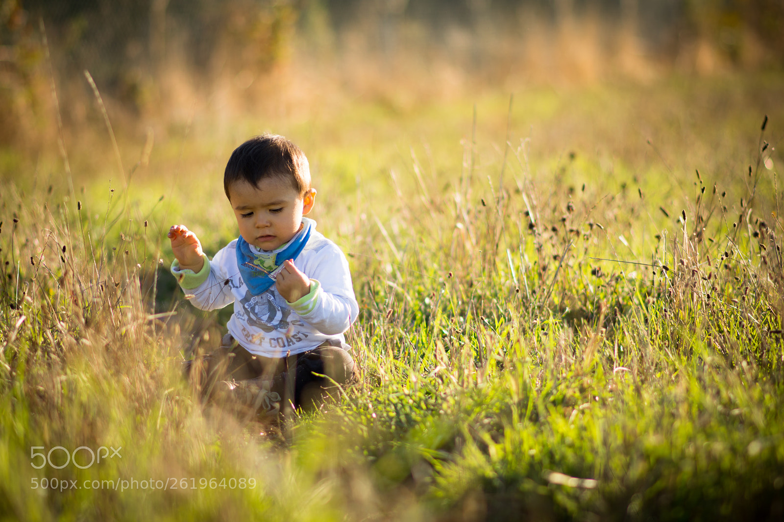 Nikon D7200 sample photo. Curiosity photography