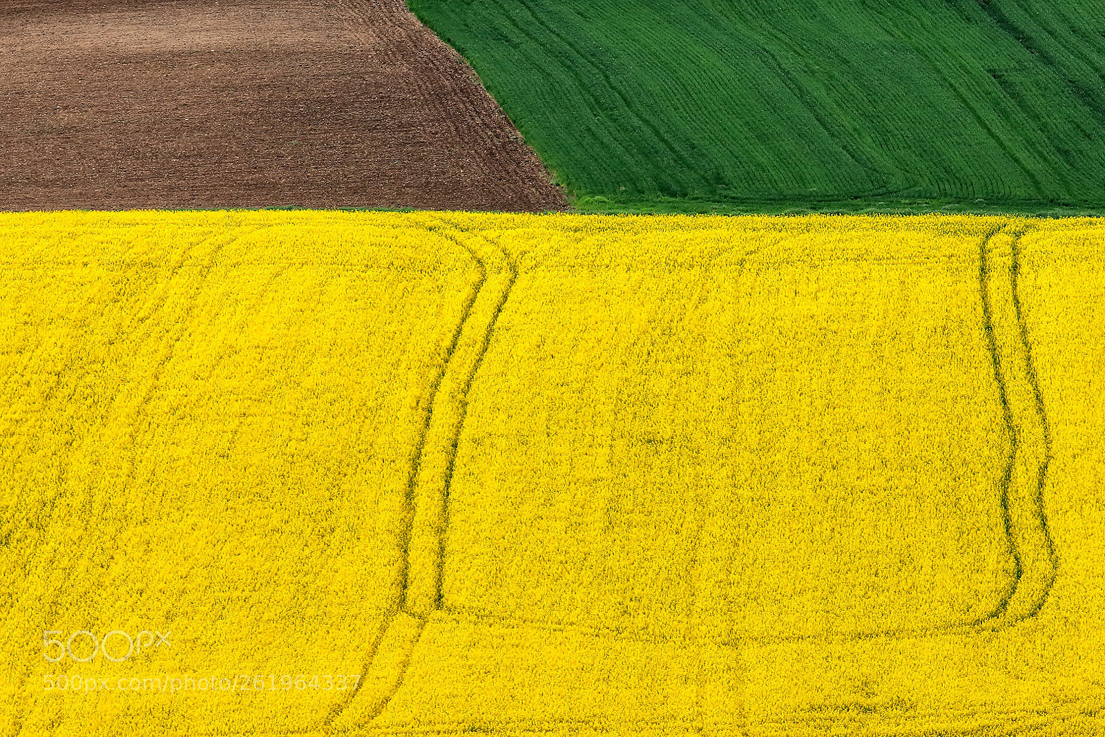 Canon EOS 70D sample photo. Farmlands photography
