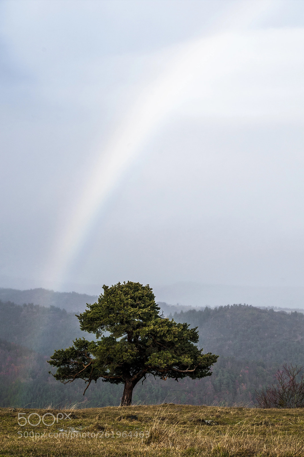 Pentax K-7 sample photo. Parapluie photography
