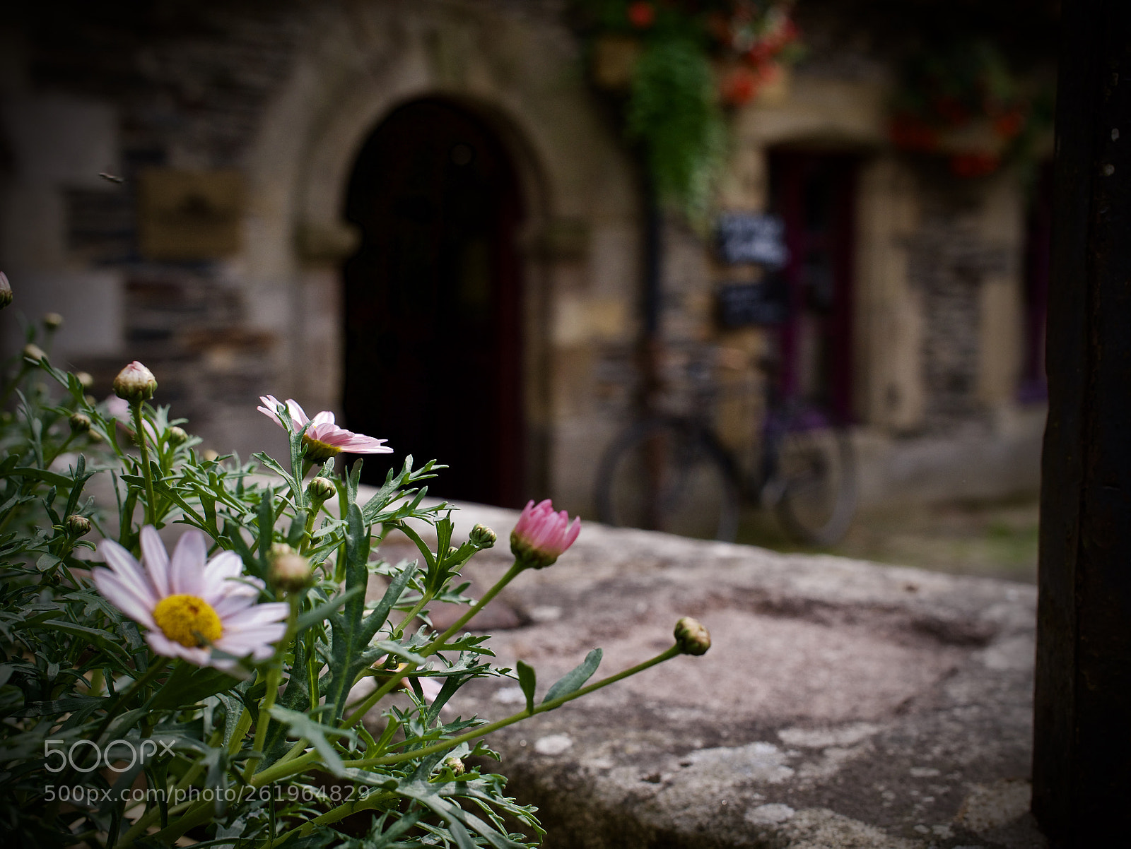 Panasonic Lumix DMC-GX85 (Lumix DMC-GX80 / Lumix DMC-GX7 Mark II) sample photo. Fullsizeoutput bb photography