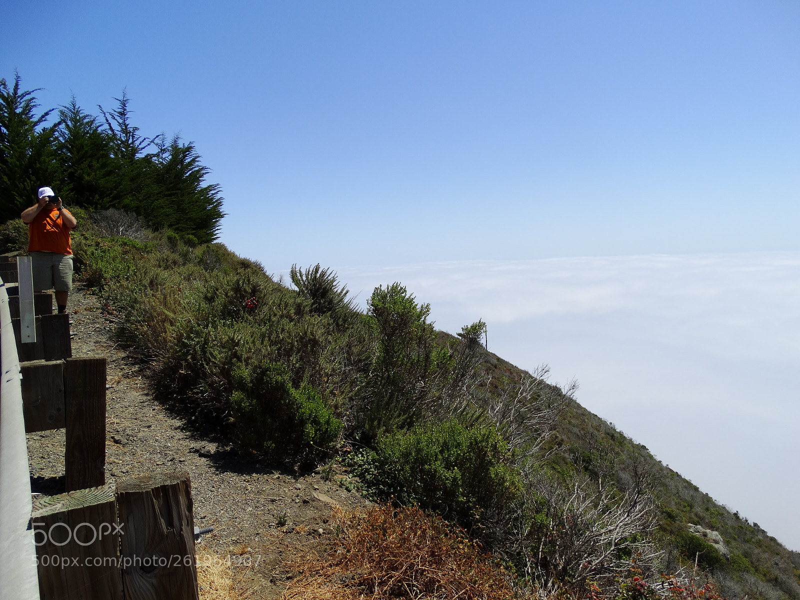 Sony Cyber-shot DSC-HX300 sample photo. Dsc photography