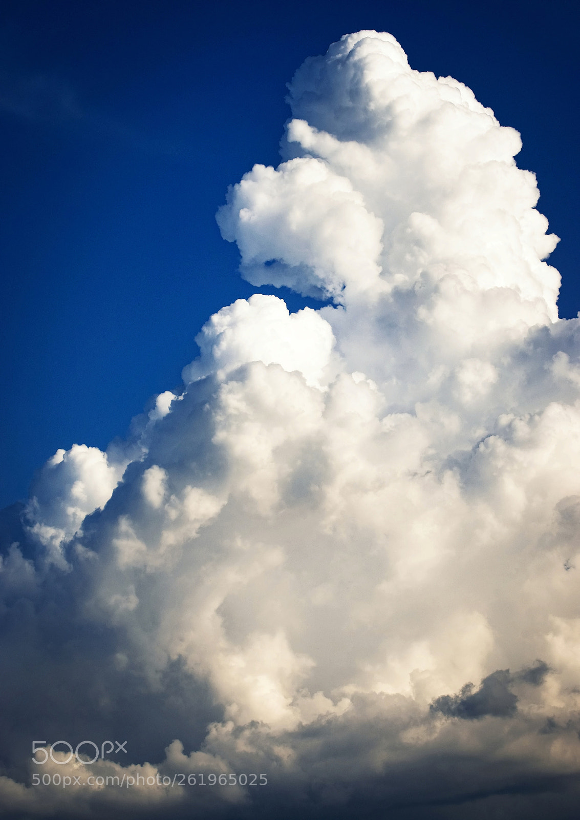 Nikon D5500 sample photo. Huge white cloud photography