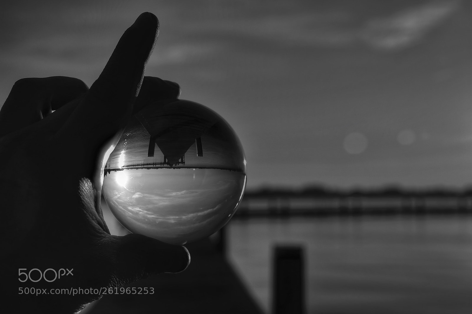 Nikon D7200 sample photo. Lensball b&w  photography