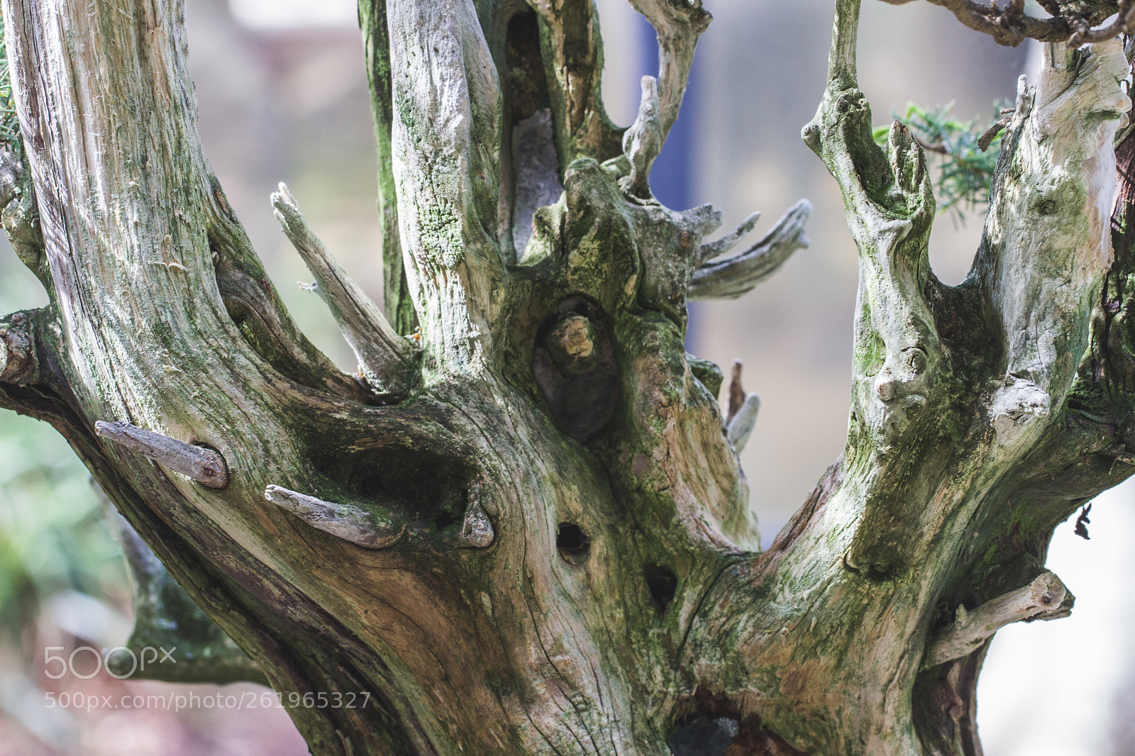 Canon EOS 600D (Rebel EOS T3i / EOS Kiss X5) sample photo. Ancien photography