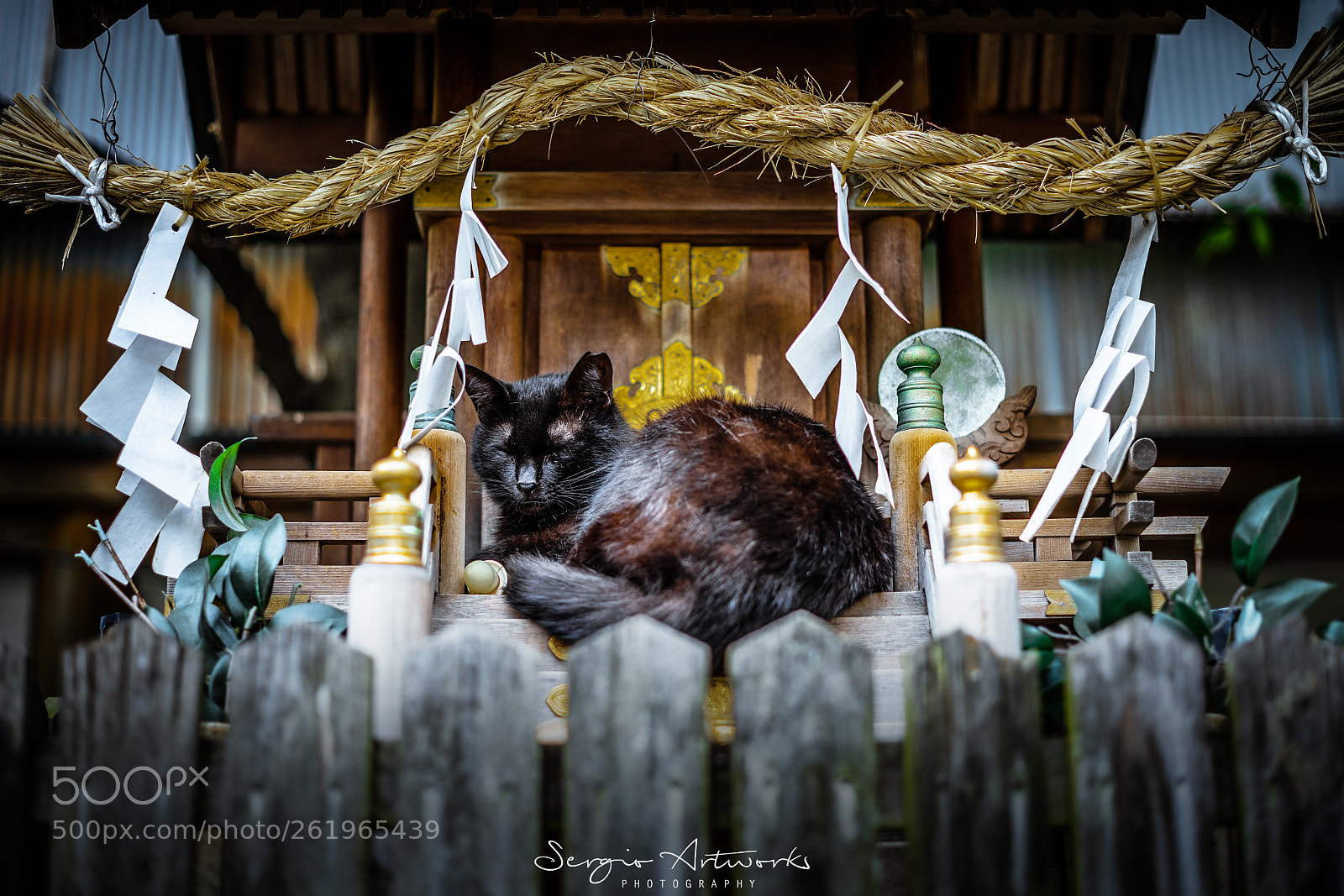 Sony a7 II sample photo. Ohatsutenjin, osaka photography
