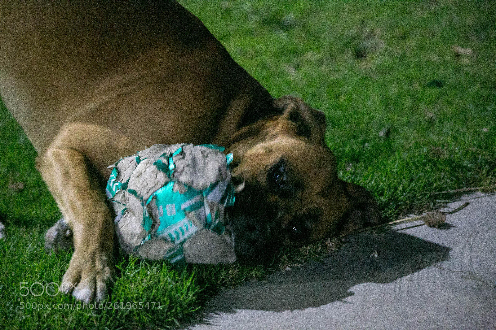 Canon EOS 6D sample photo. The goalkeaper photography