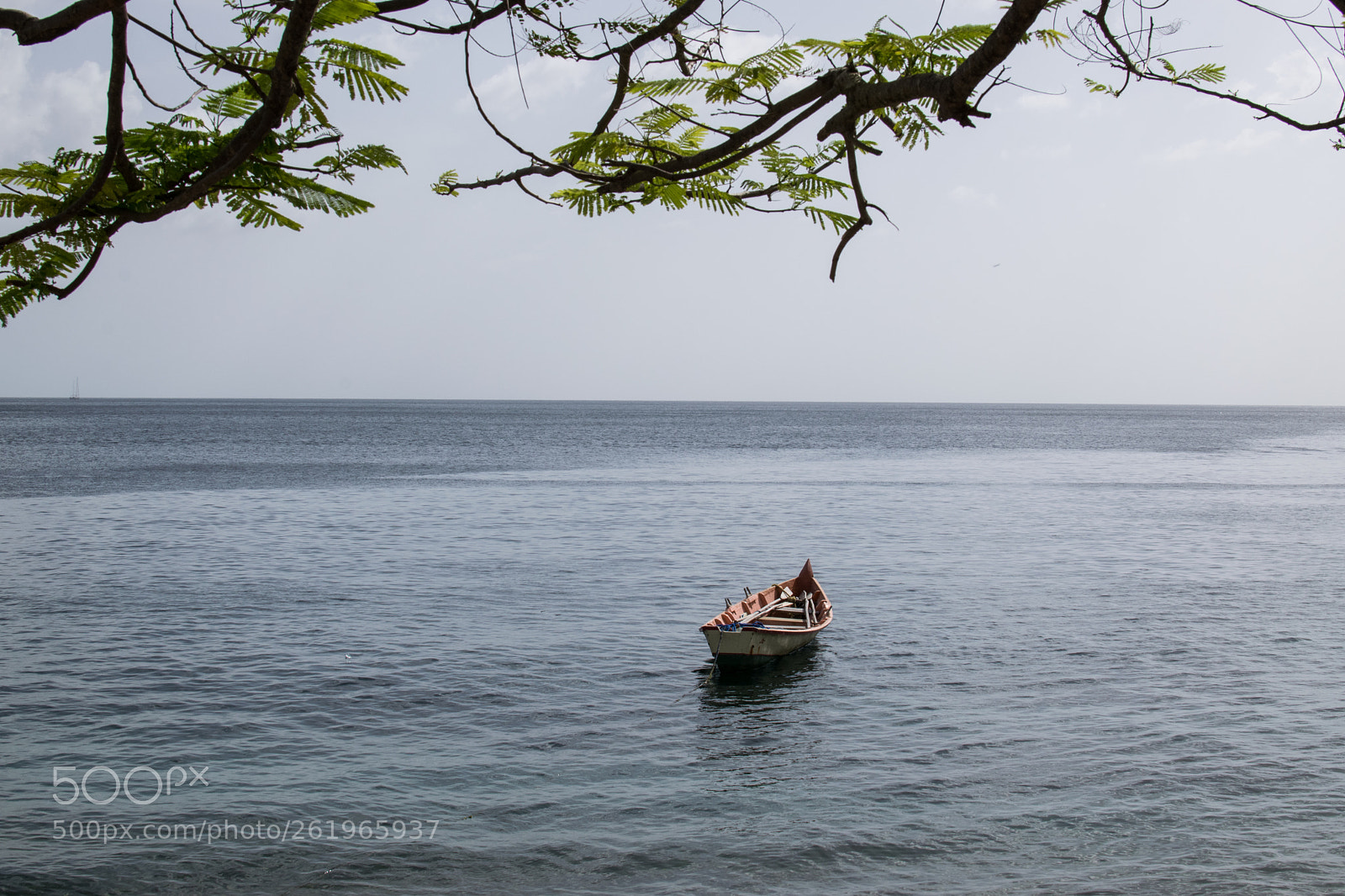 Nikon D3300 sample photo. Soufriere bay photography