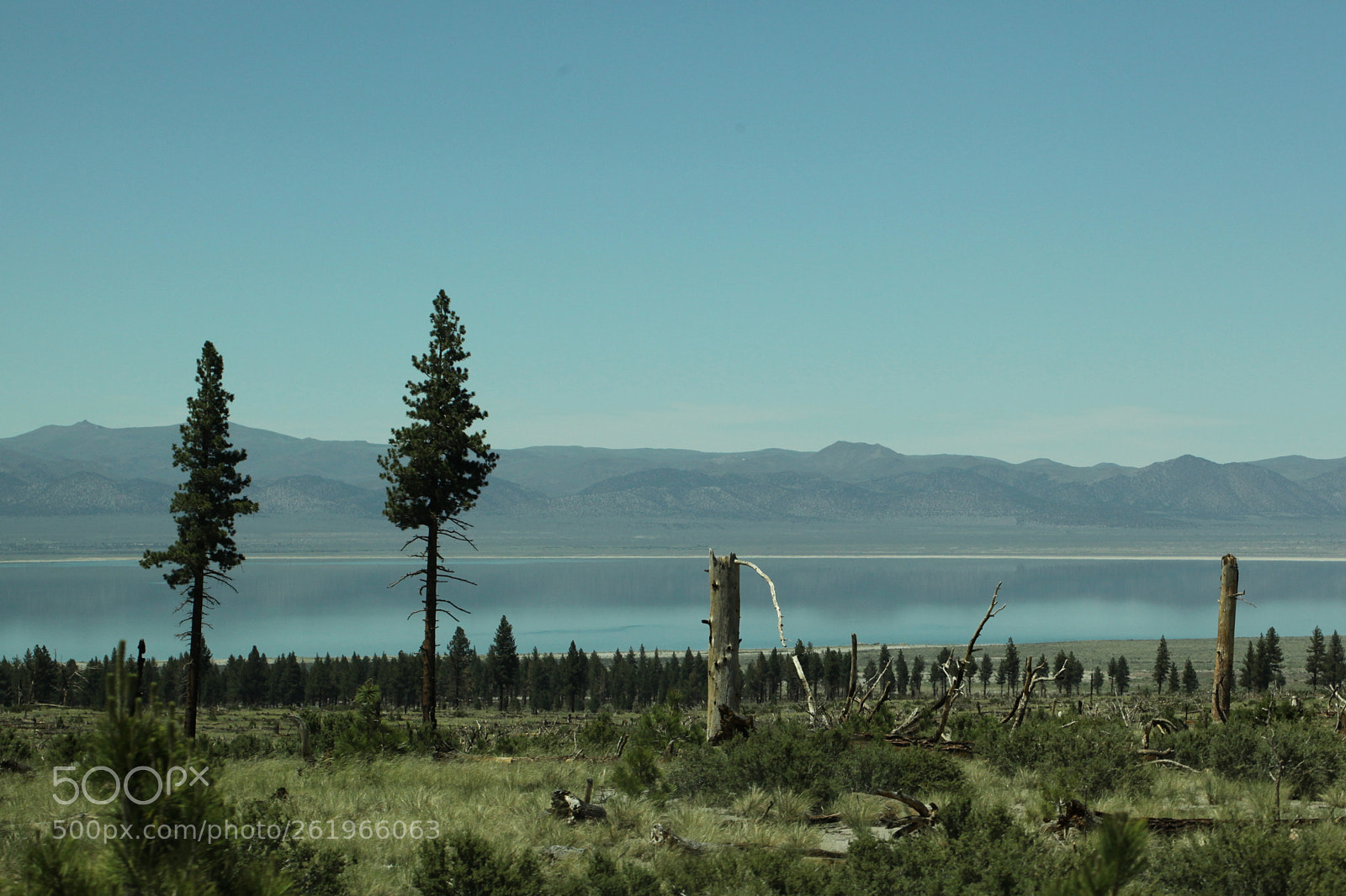 Canon EOS 5D Mark II sample photo. Mono lake photography