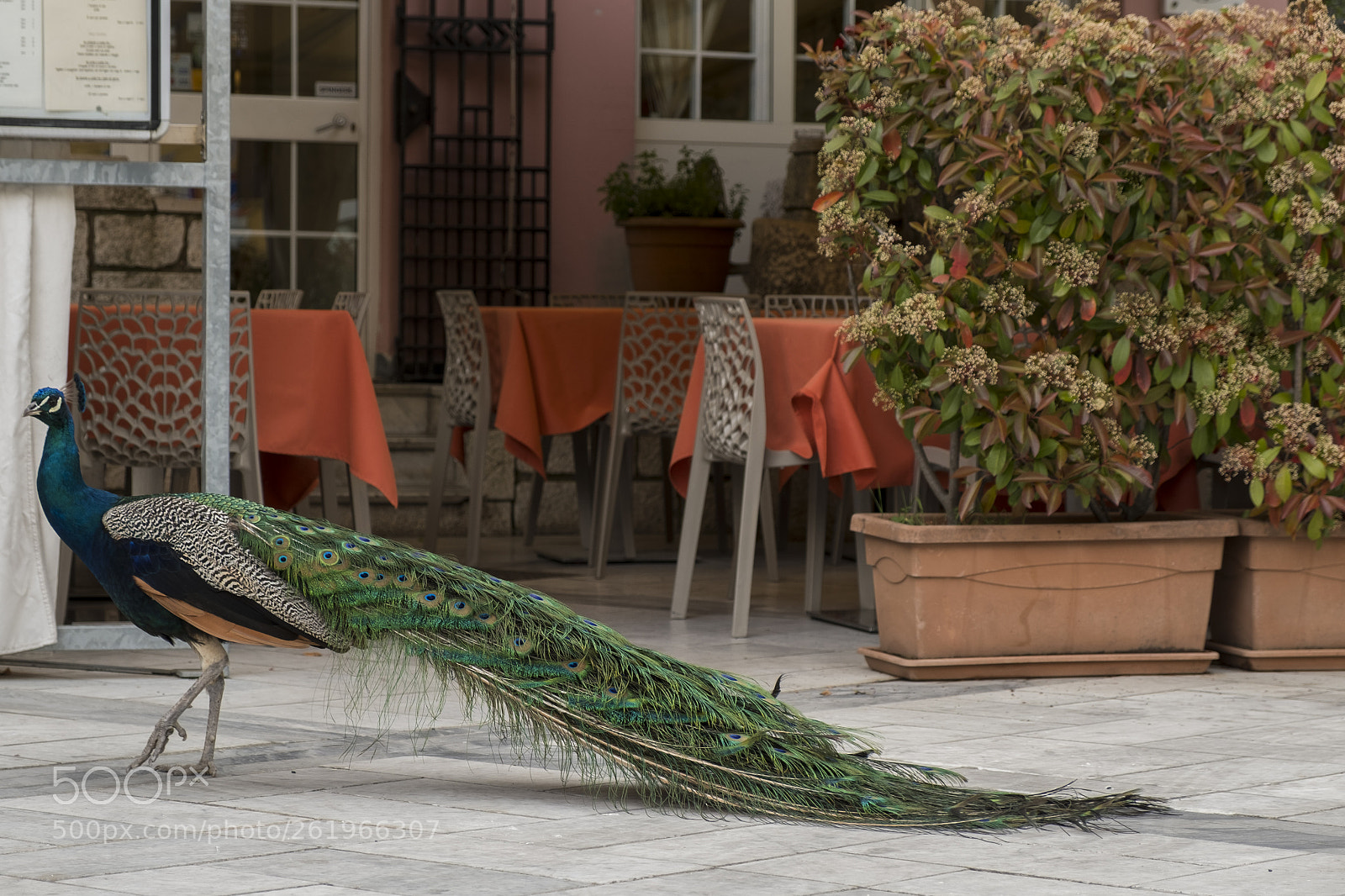 Fujifilm X-T20 sample photo. Walking around photography