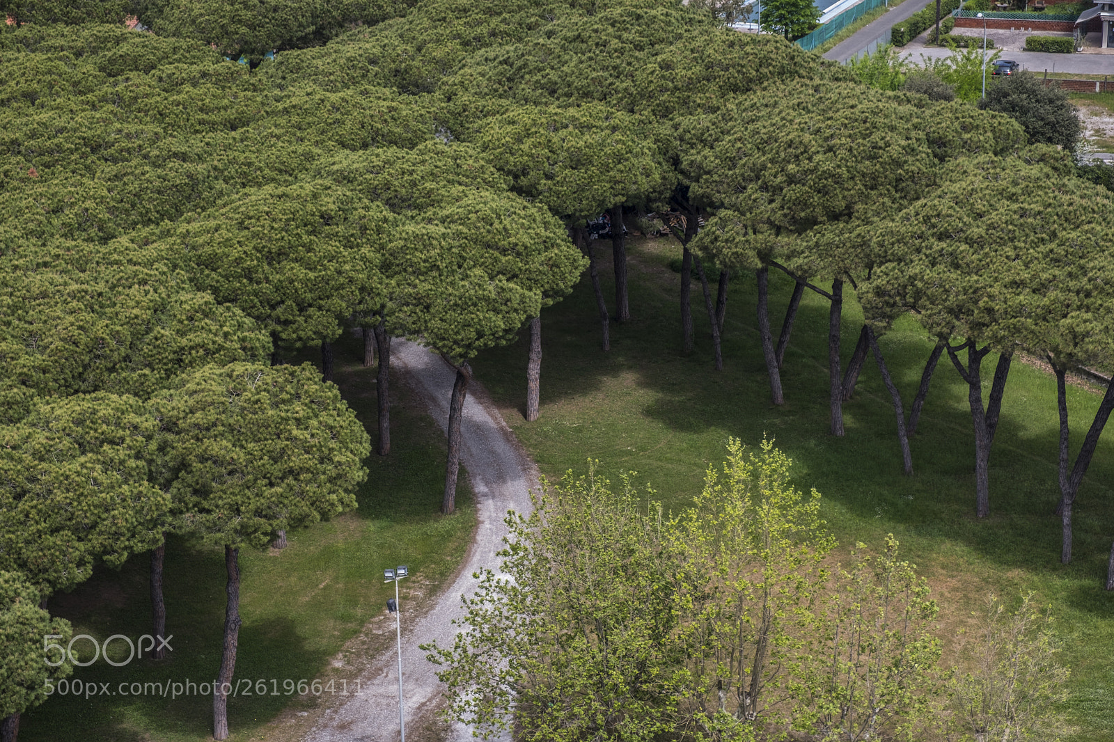 Fujifilm X-T20 sample photo. La pineta photography