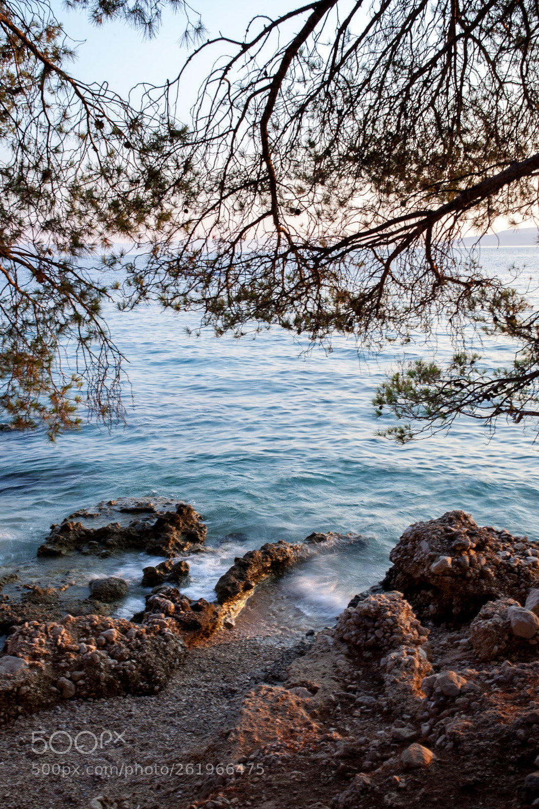 Canon EOS 5D Mark II sample photo. Img photography