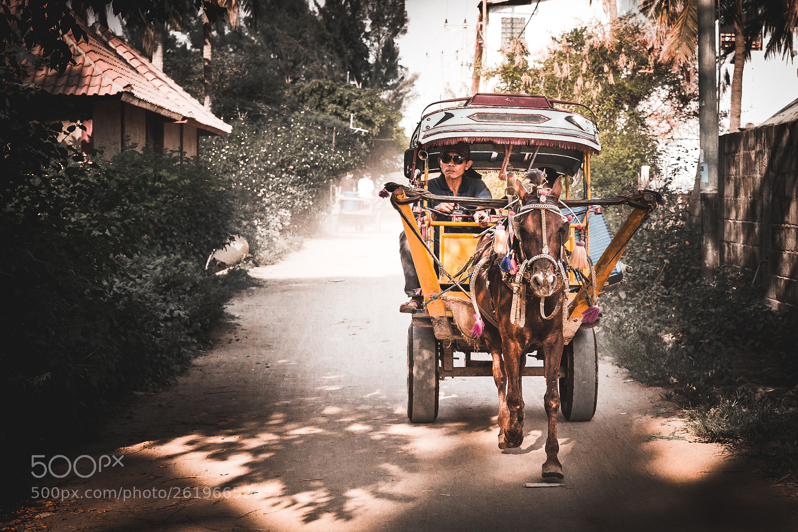Canon EOS 6D sample photo. Trawangan transportation photography
