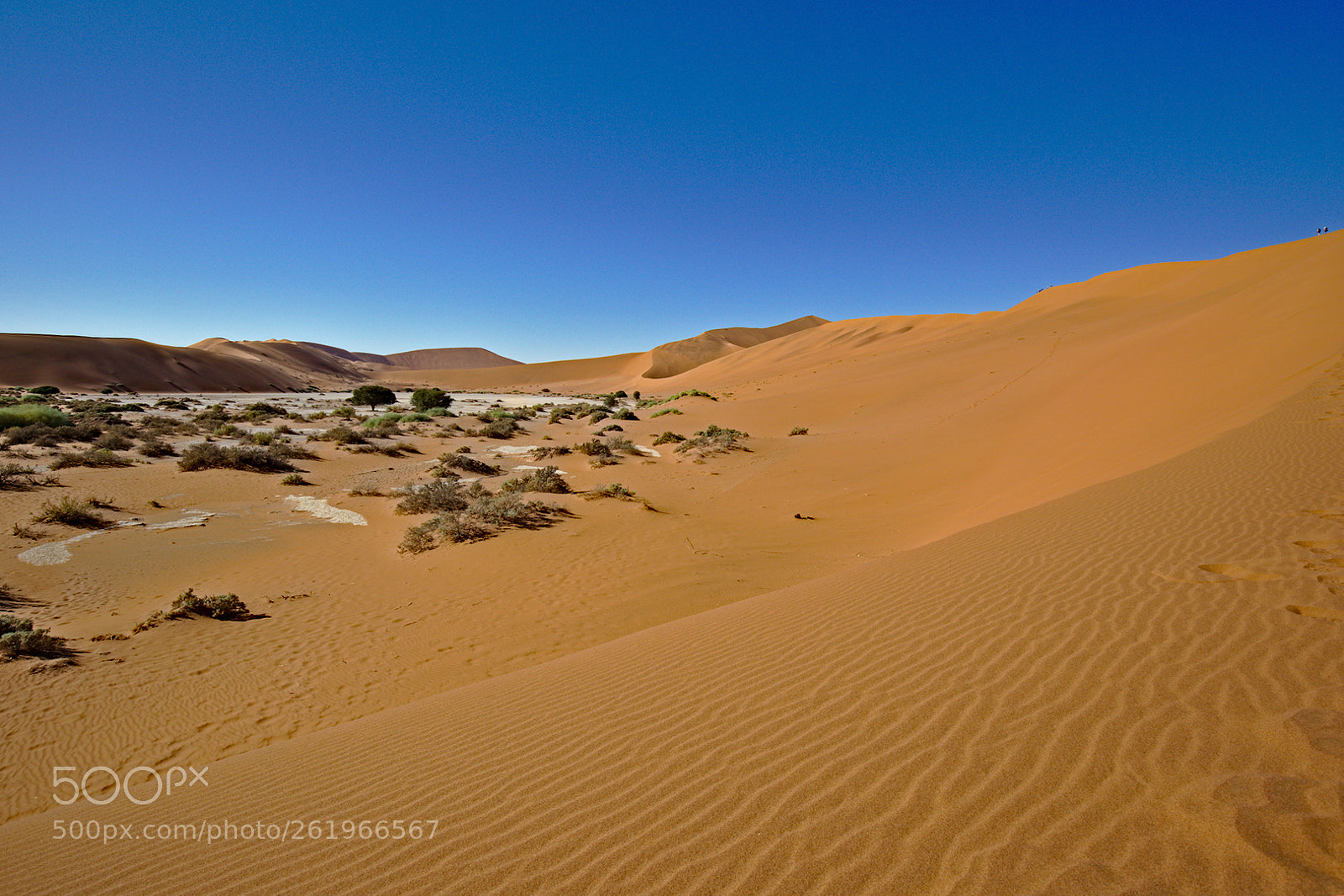 Canon EF 16-35mm F4L IS USM sample photo. Sossusvlei, namibia photography