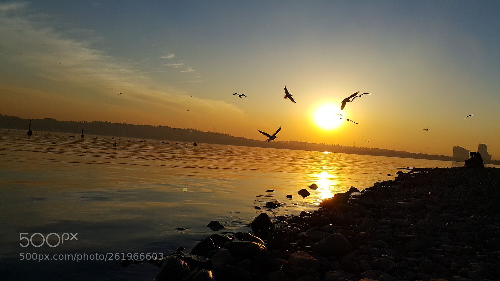 Samsung Galaxy Note4 sample photo. Untitled photography