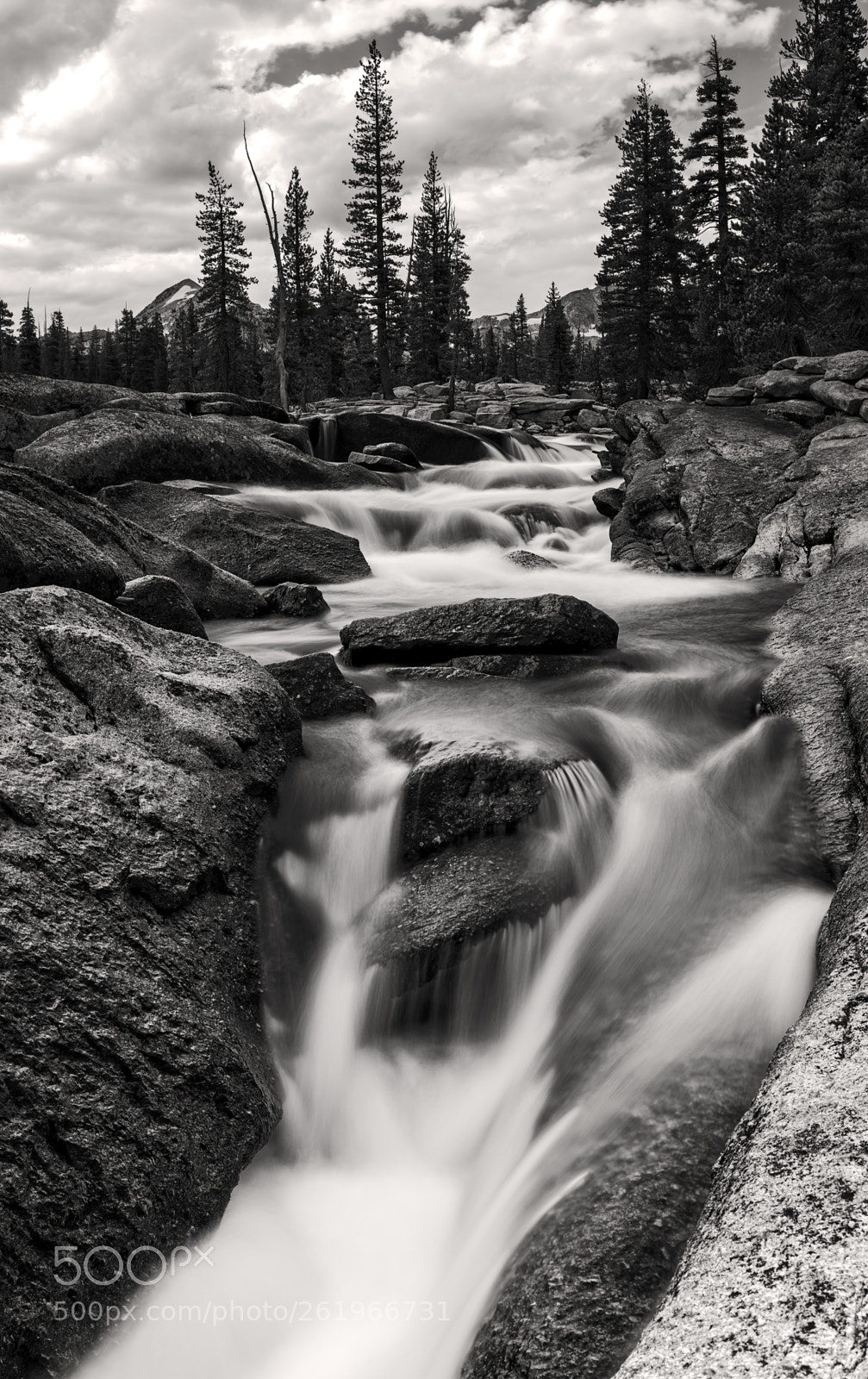 Nikon D810 sample photo. Waterfall in the snow photography