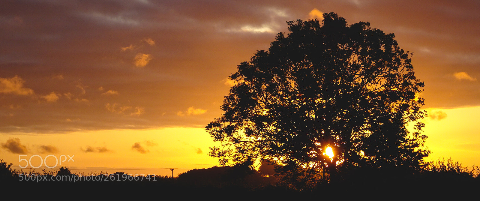 Sony Cyber-shot DSC-HX90V sample photo. Orange sunset photography