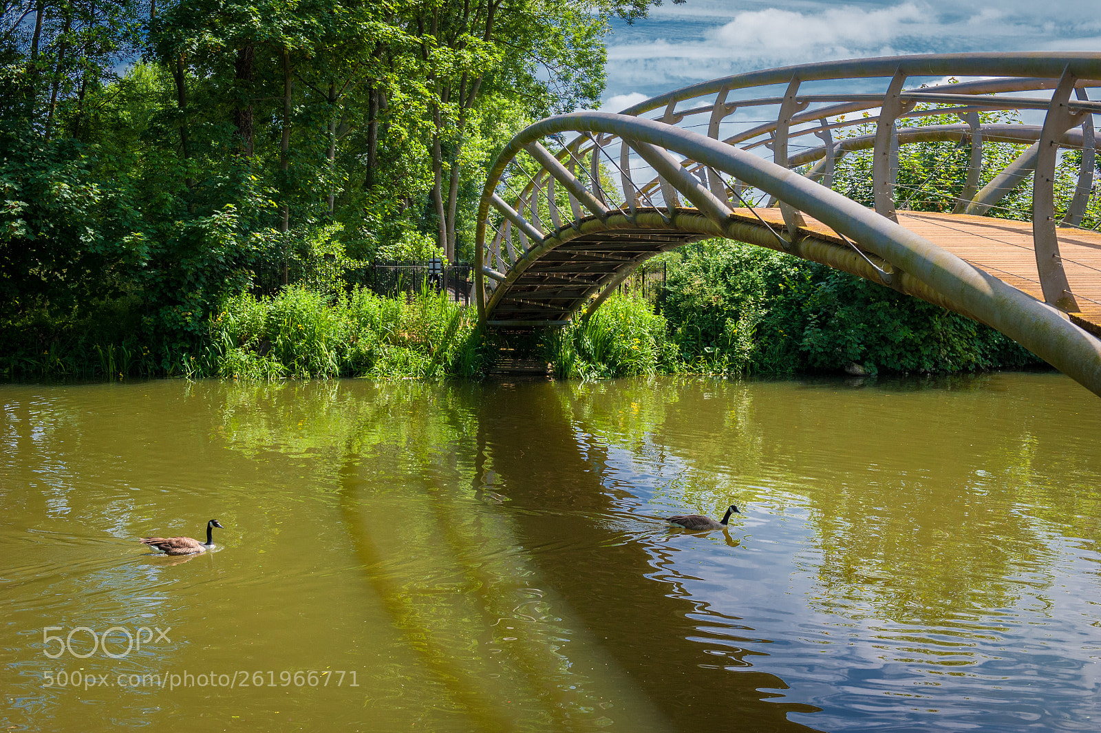 Nikon D700 sample photo. Jubilee bridge photography