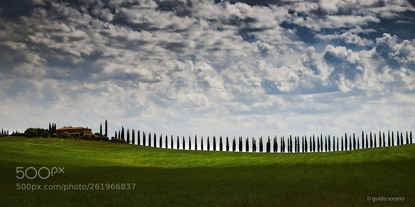 Nikon D800 sample photo. Val d'orcia -filare di photography