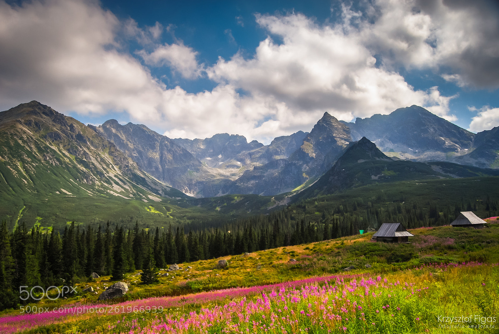 Nikon D40X sample photo. August in tatras photography
