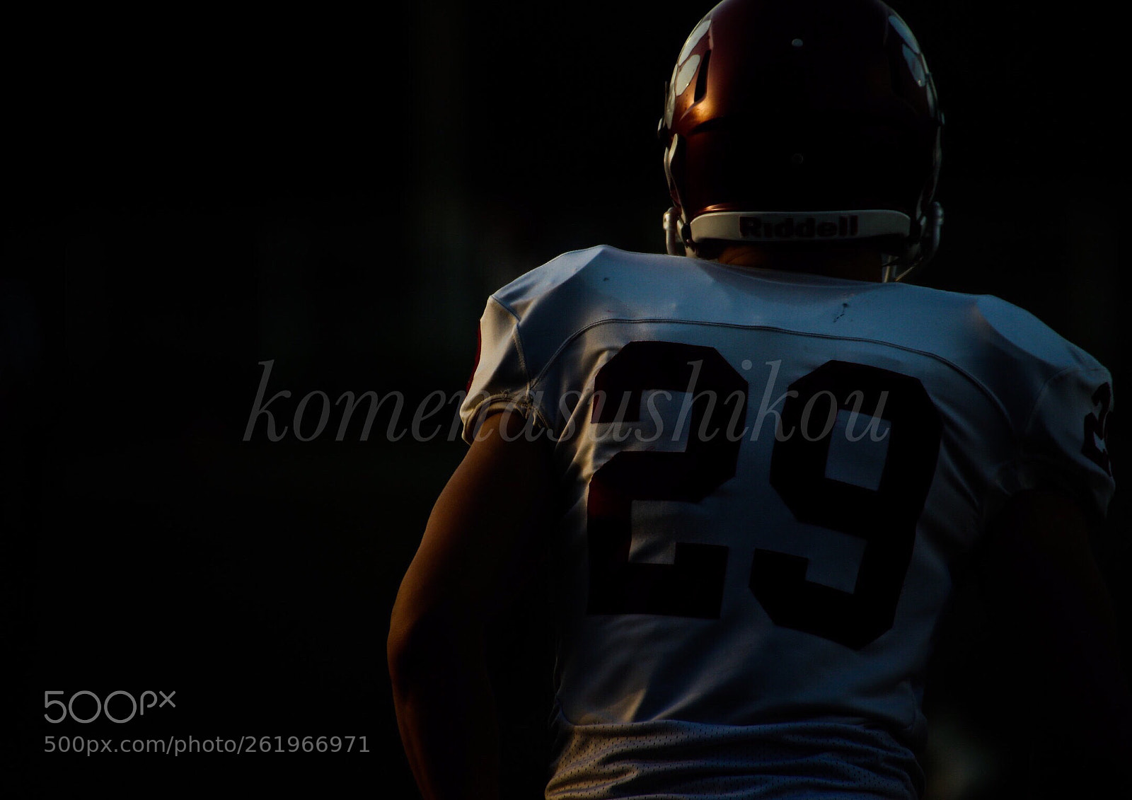 Canon EOS-1D X sample photo. Untitled photography