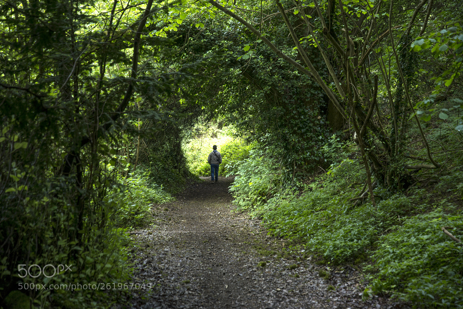 Nikon D600 sample photo. Light at the end... photography