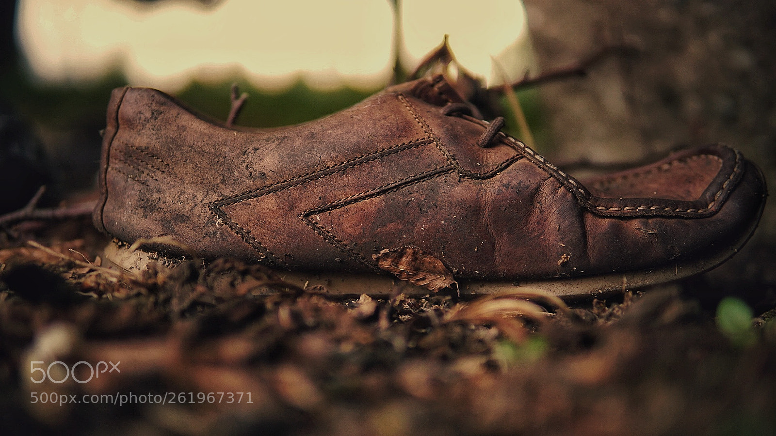 Sony a6000 sample photo. Old shoe photography