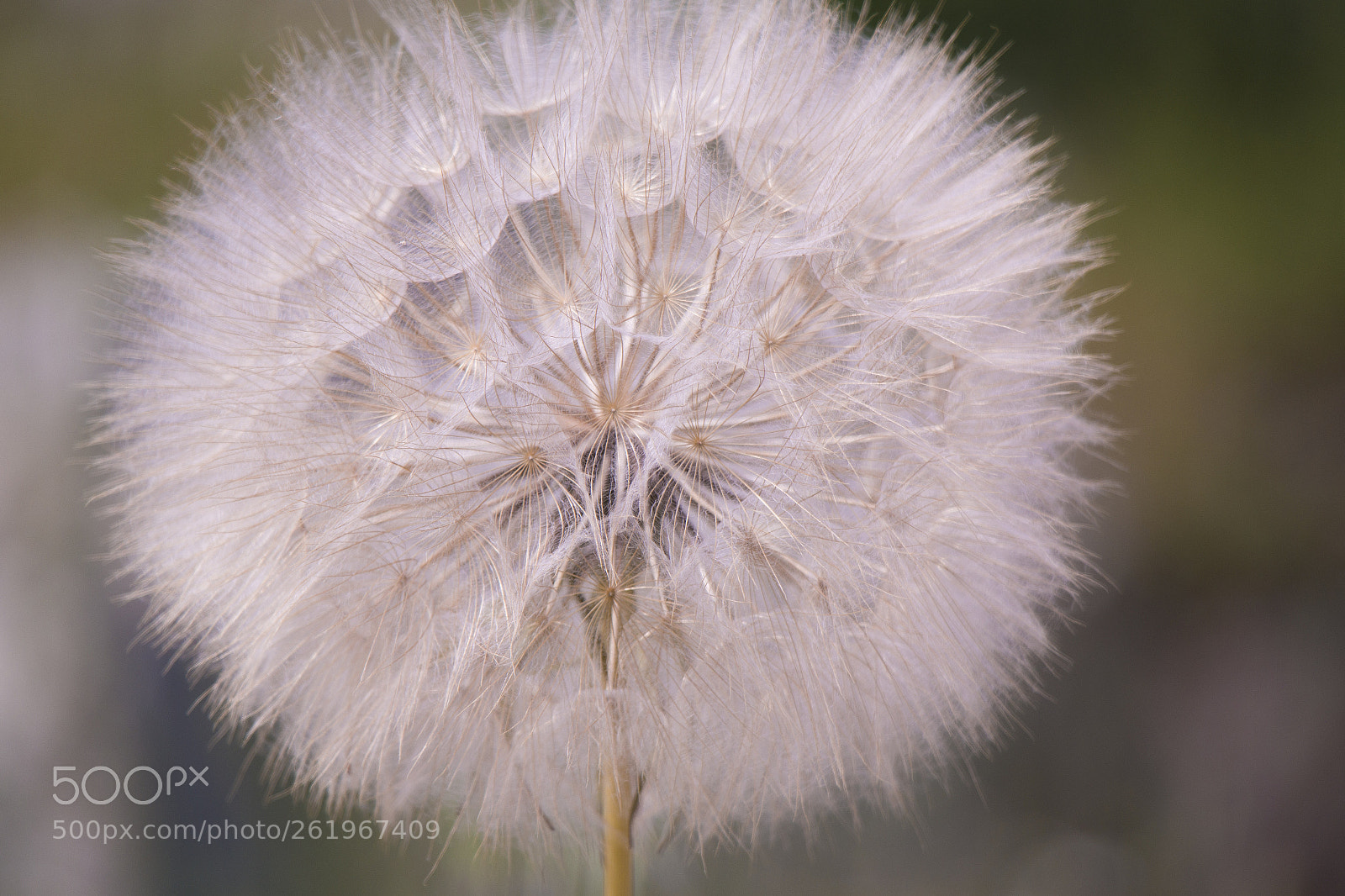 Samsung NX30 sample photo. Sam photography