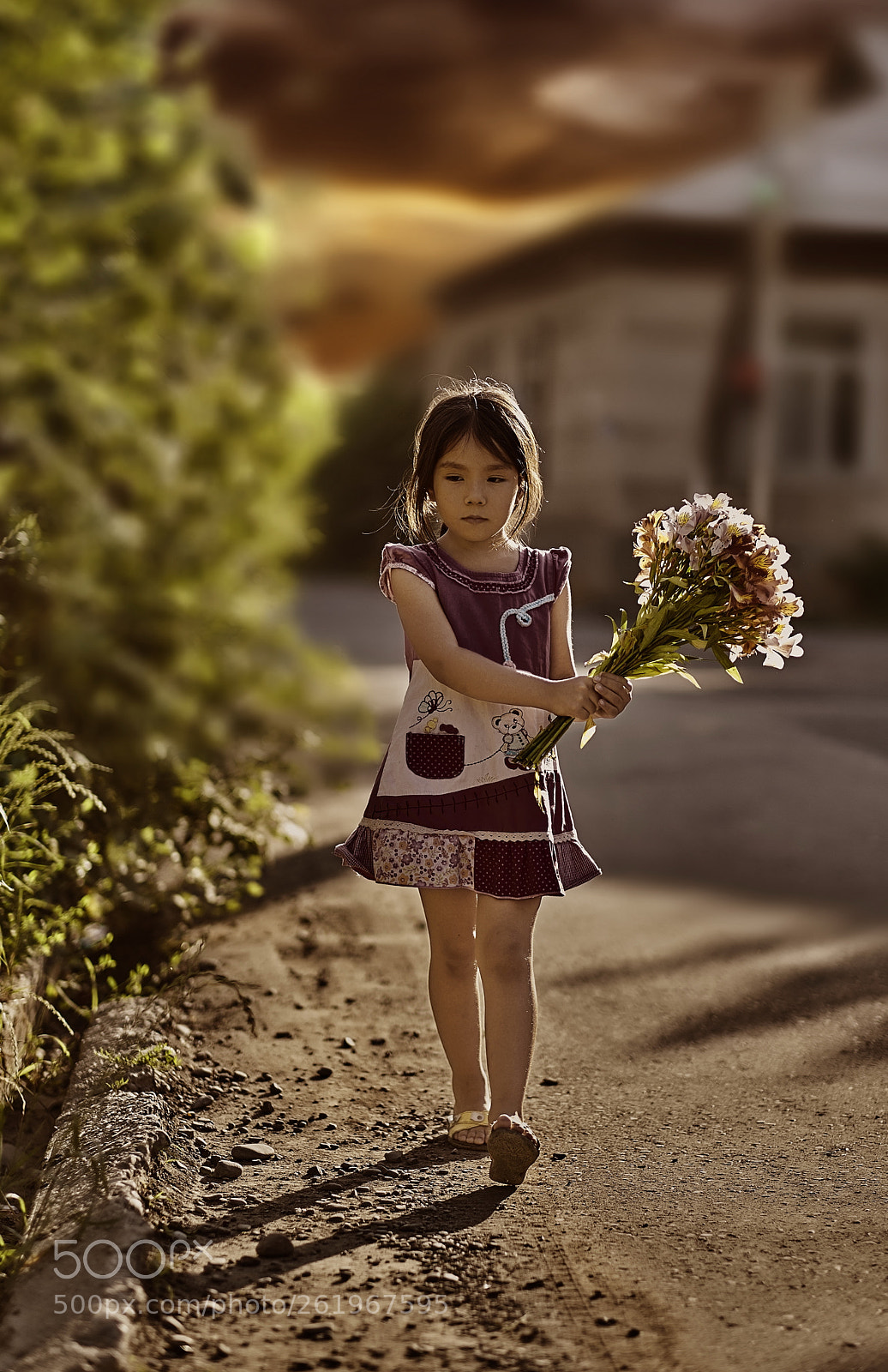 Fujifilm X-T20 sample photo. *** photography