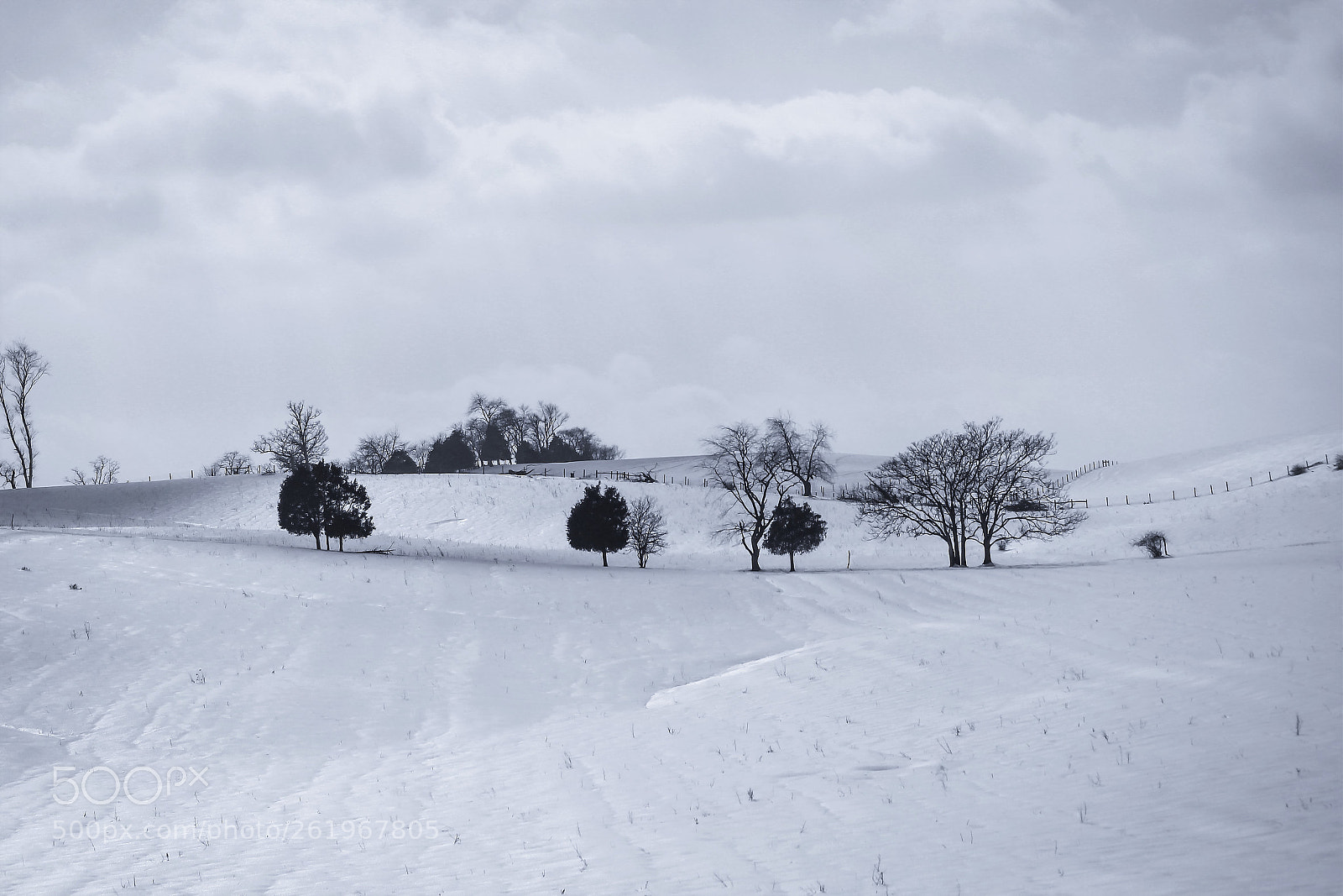 Canon EOS 600D (Rebel EOS T3i / EOS Kiss X5) sample photo. Snow photography
