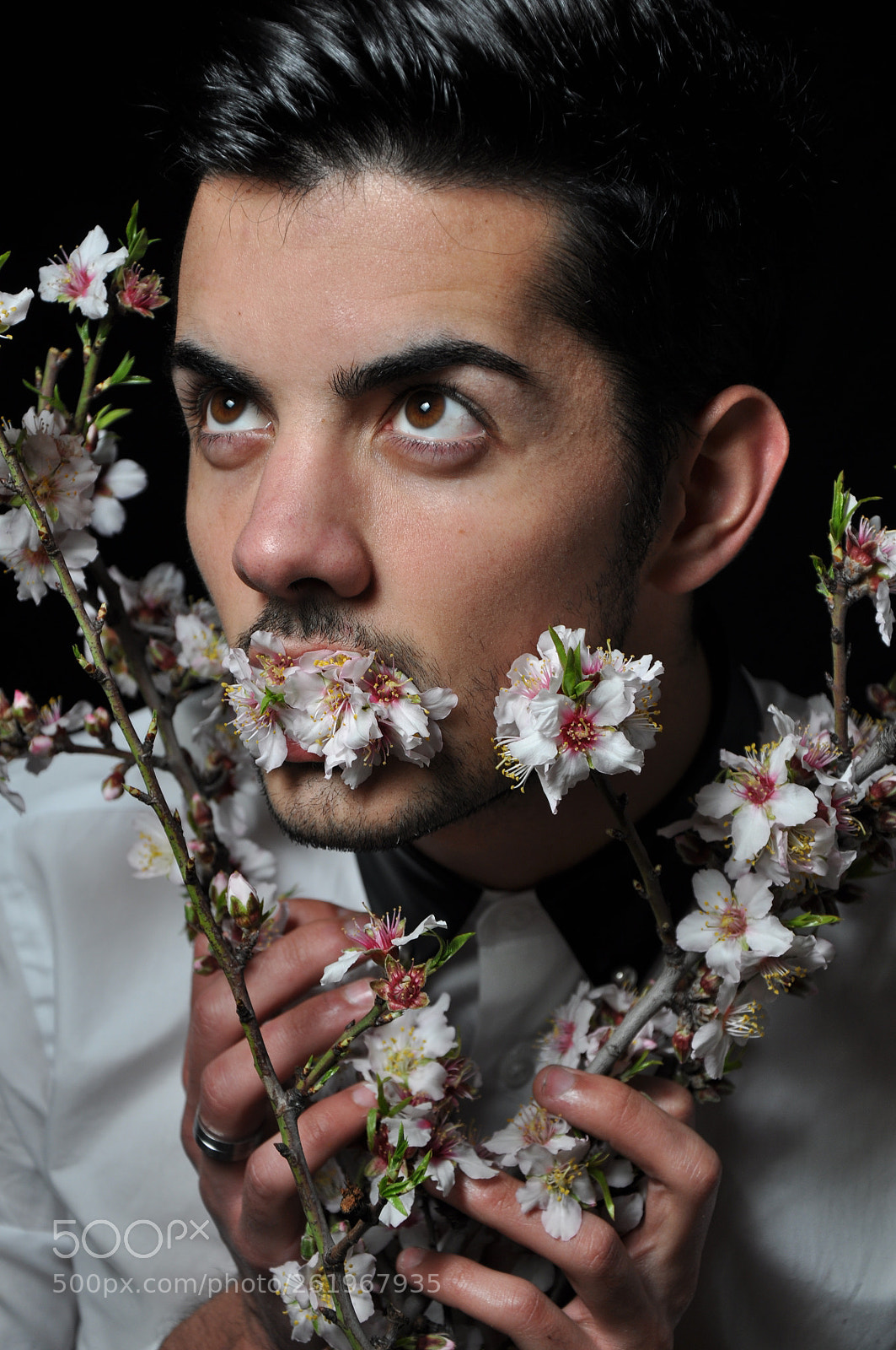 Nikon D90 sample photo. Wallflower photography