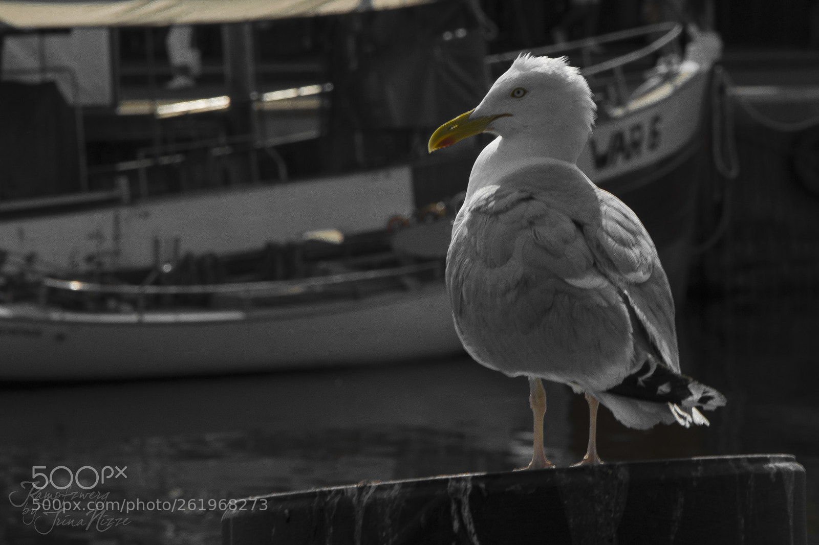 Nikon D3300 sample photo. Untitled photography